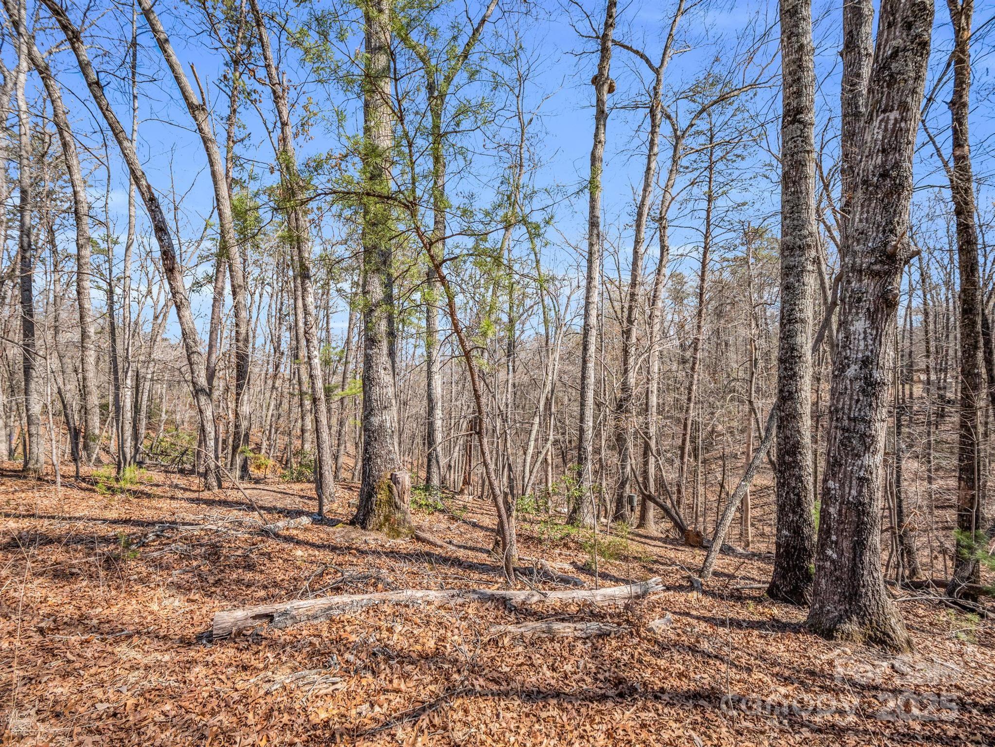 000 Forester Lane 21, 24, & 25 Property Photo 14