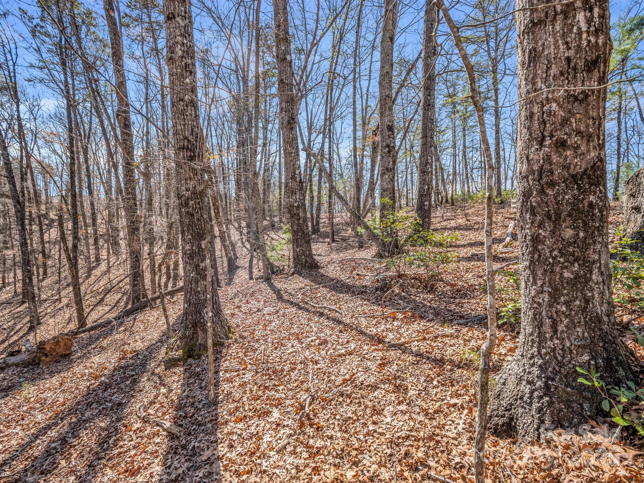 000 Forester Lane 21, 24, & 25 Property Photo 17