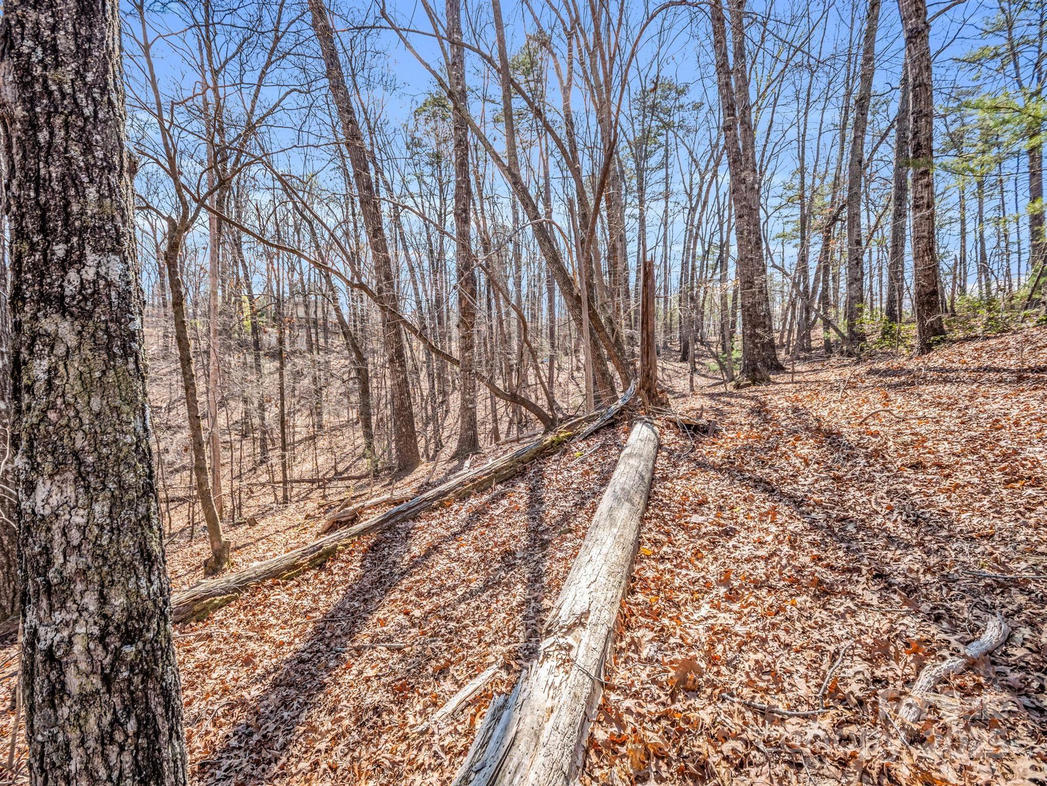 000 Forester Lane 21, 24, & 25 Property Photo 21