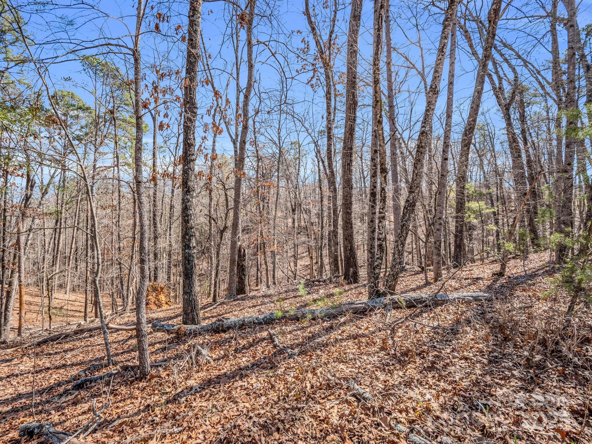 000 Forester Lane 21, 24, & 25 Property Photo 22