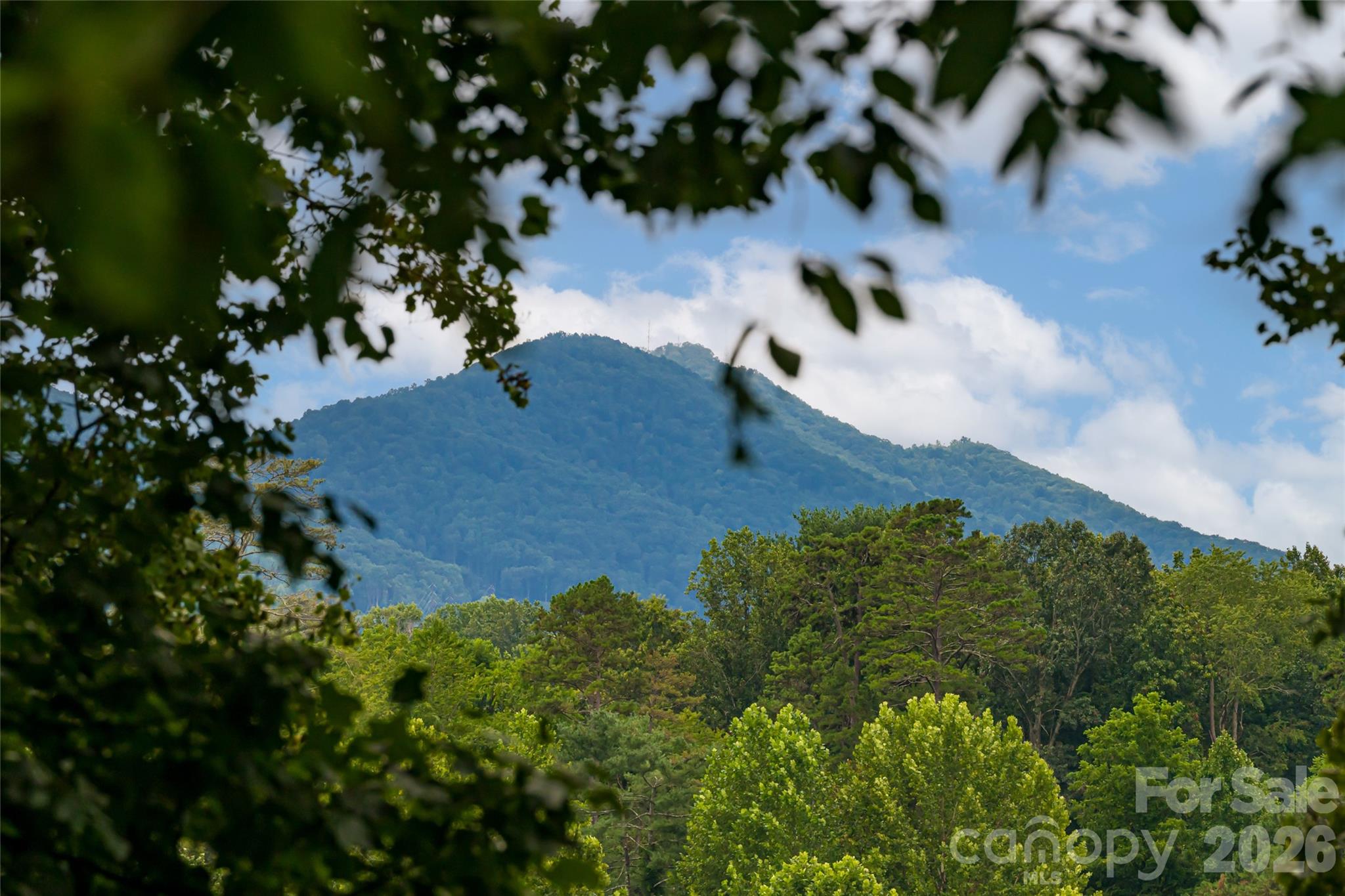 7 Bee Balm Way Property Photo 7