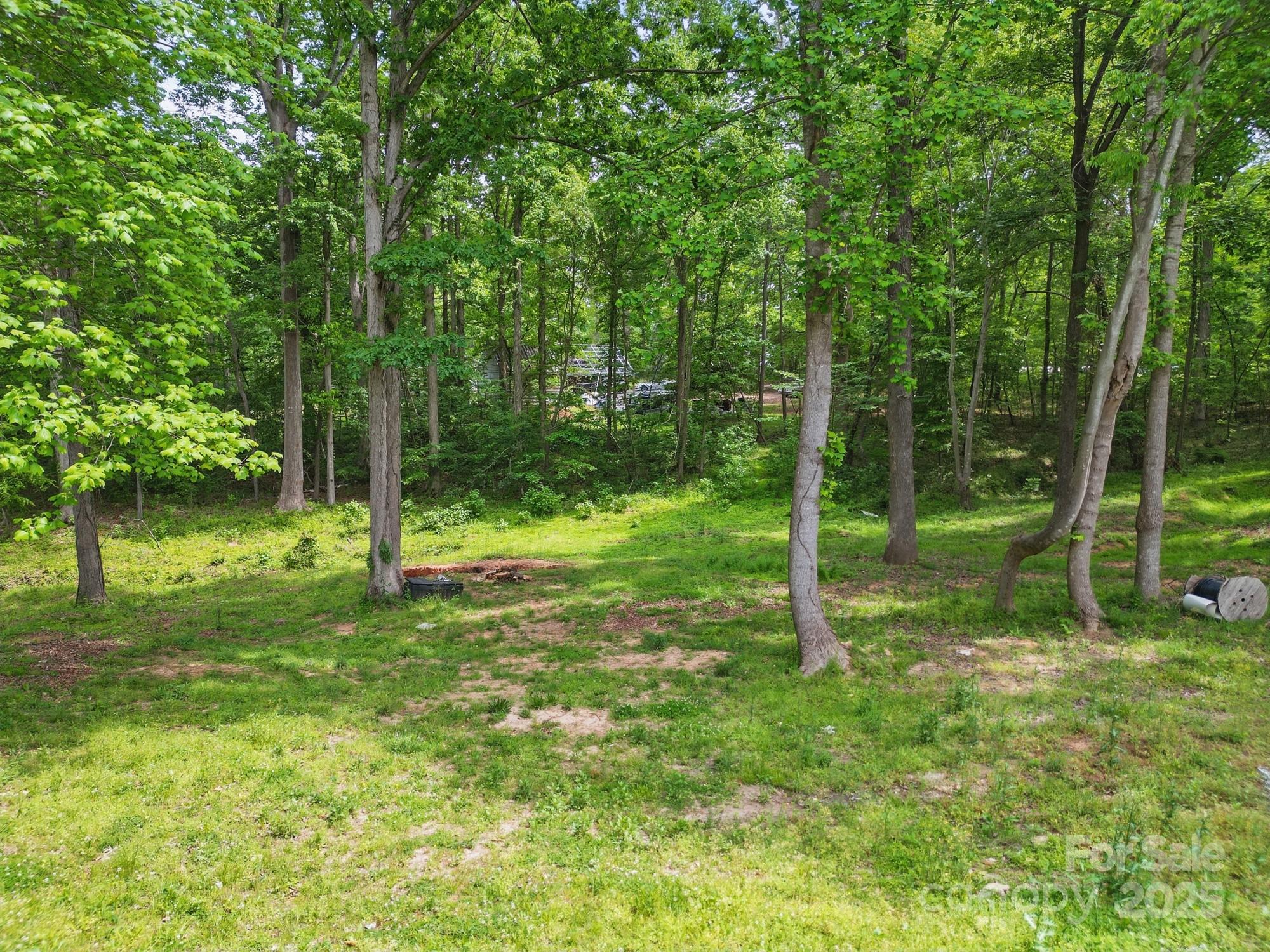10420 Silver Mine Road Property Photo 19