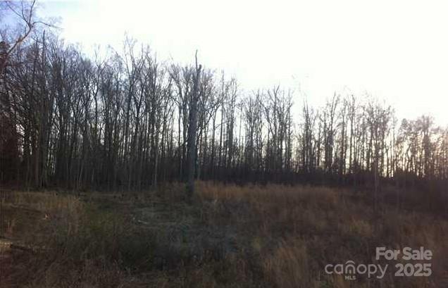 10804 Maryanna Court Property Photo 2