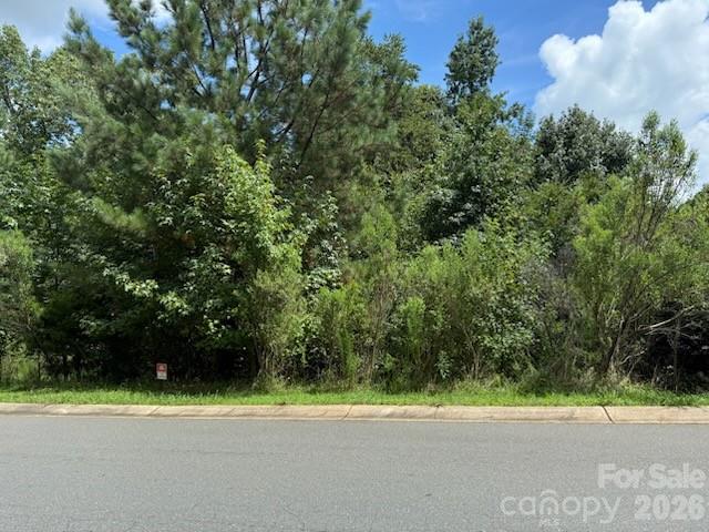 2021 Beauhaven Lane 19 Property Photo 7