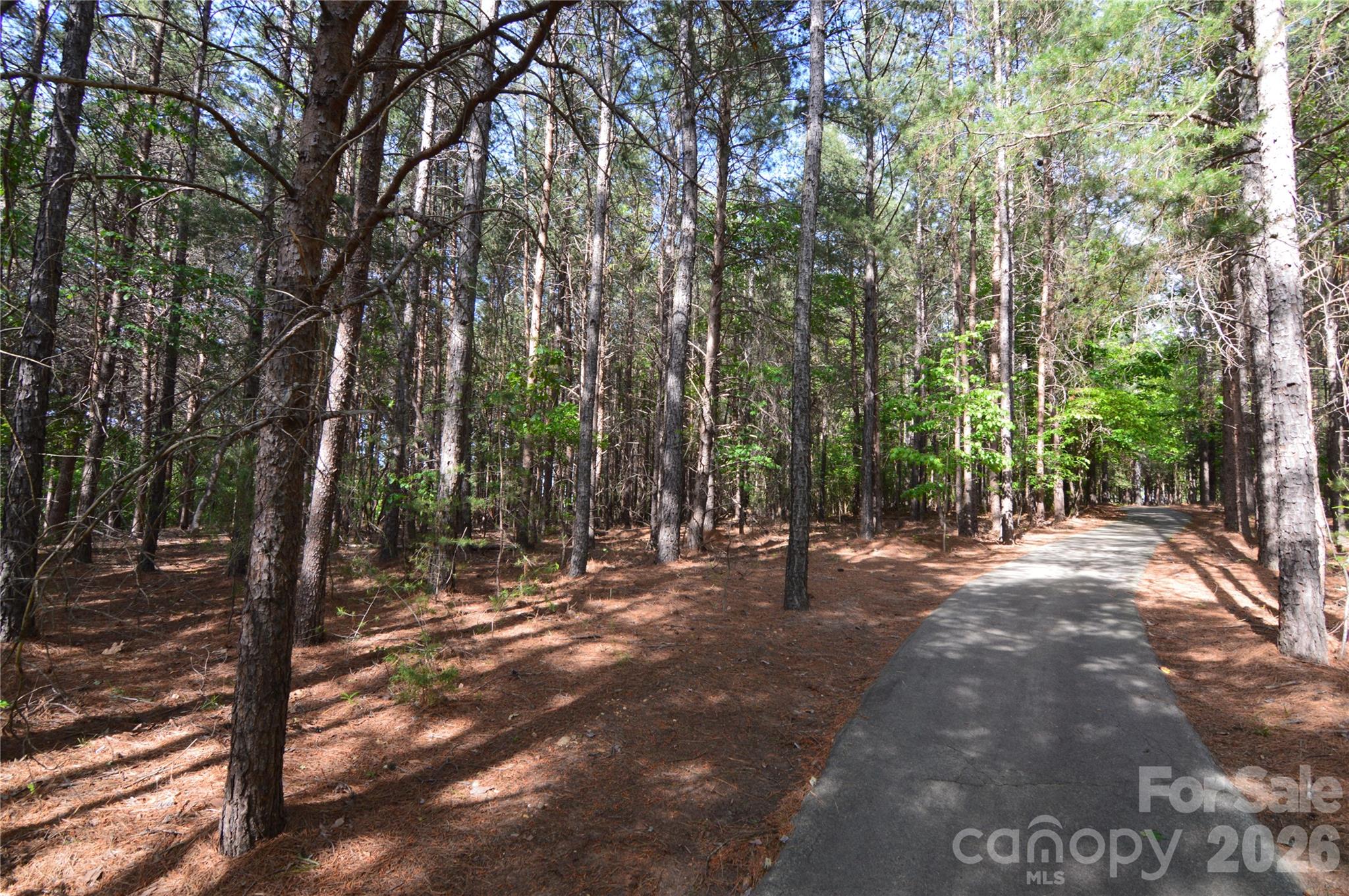 2021 Beauhaven Lane 19 Property Photo 35