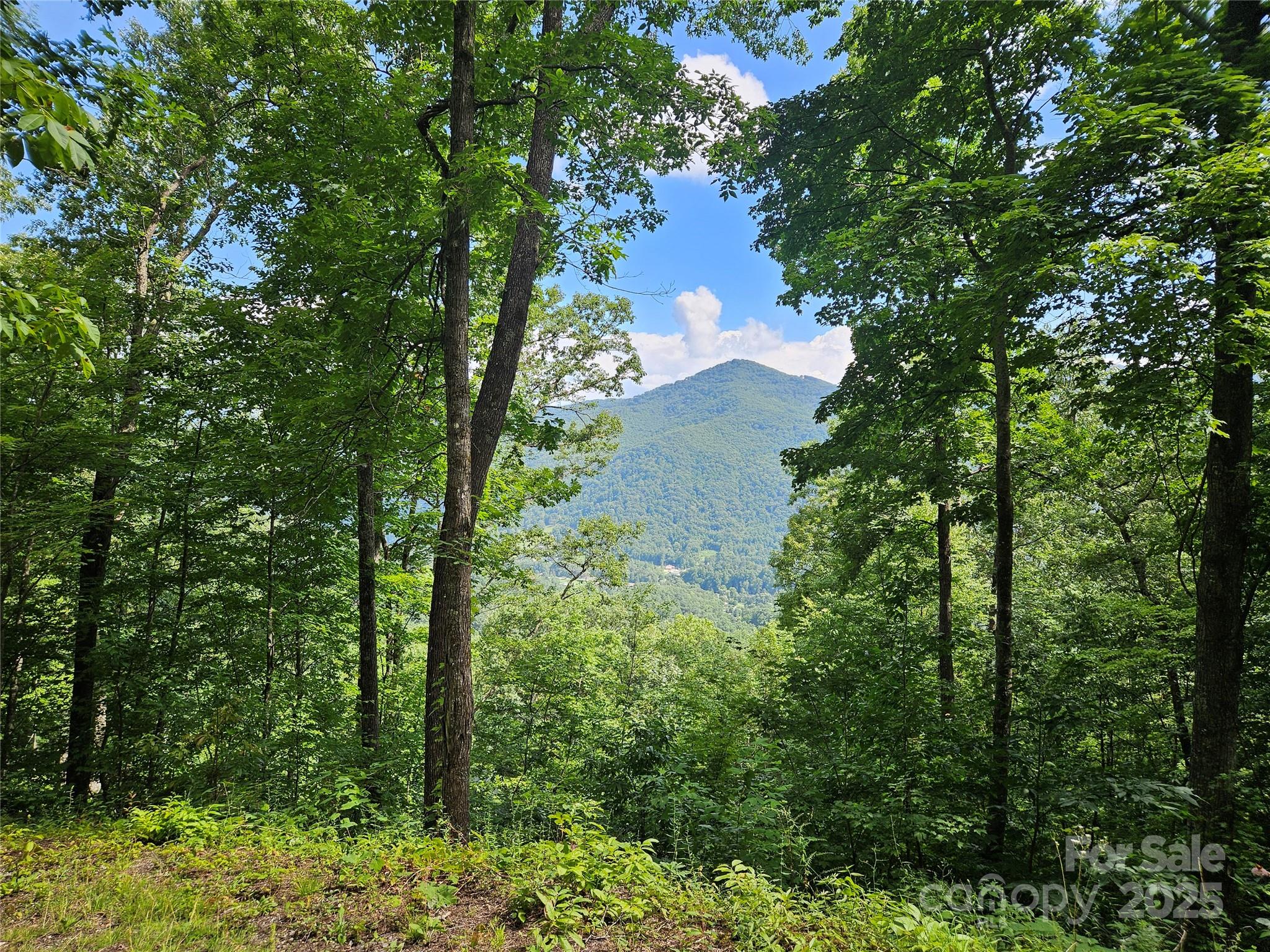 000 Big Boulder Ridge 9 Property Photo 1