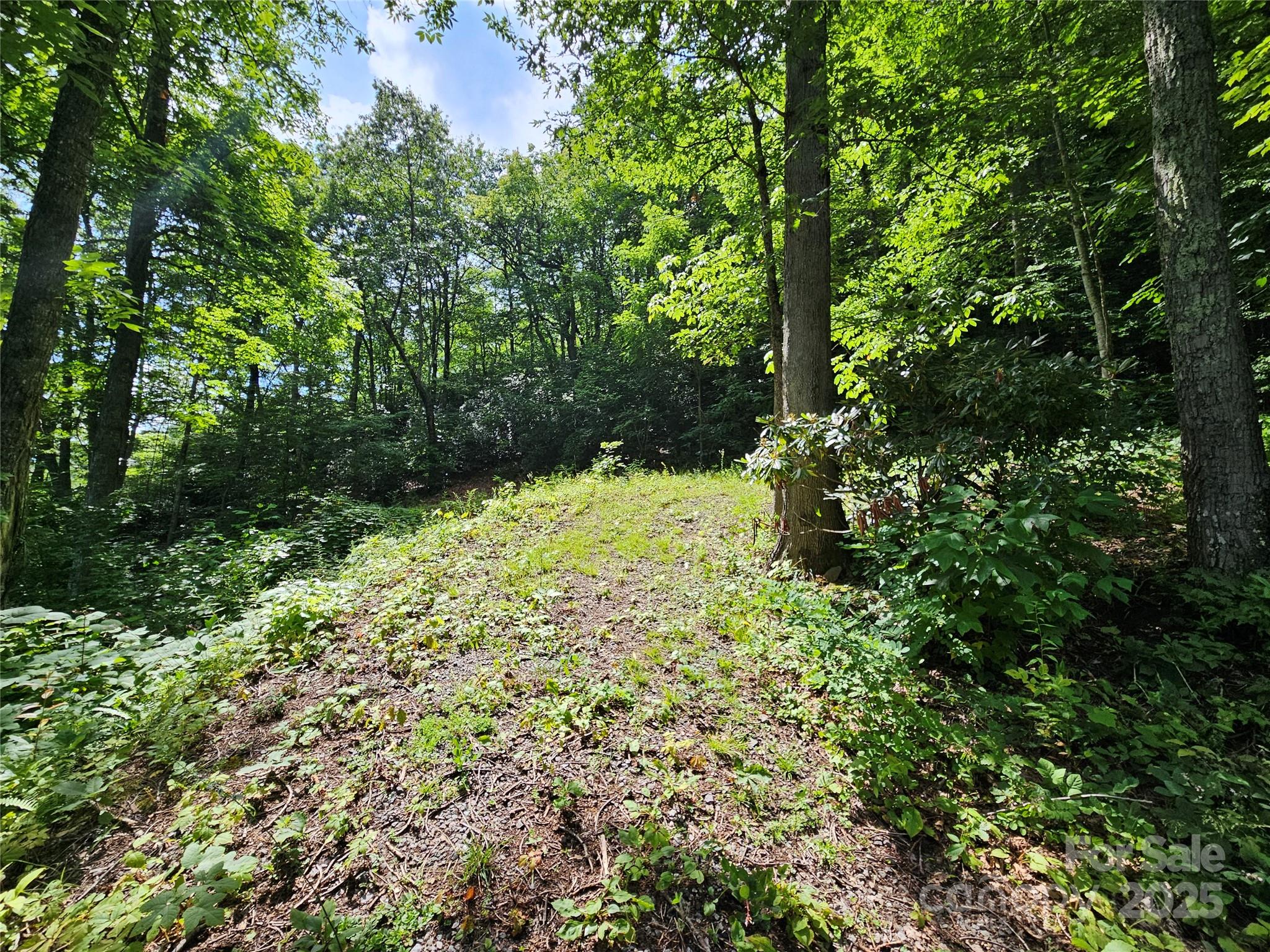 000 Big Boulder Ridge 9 Property Photo 2