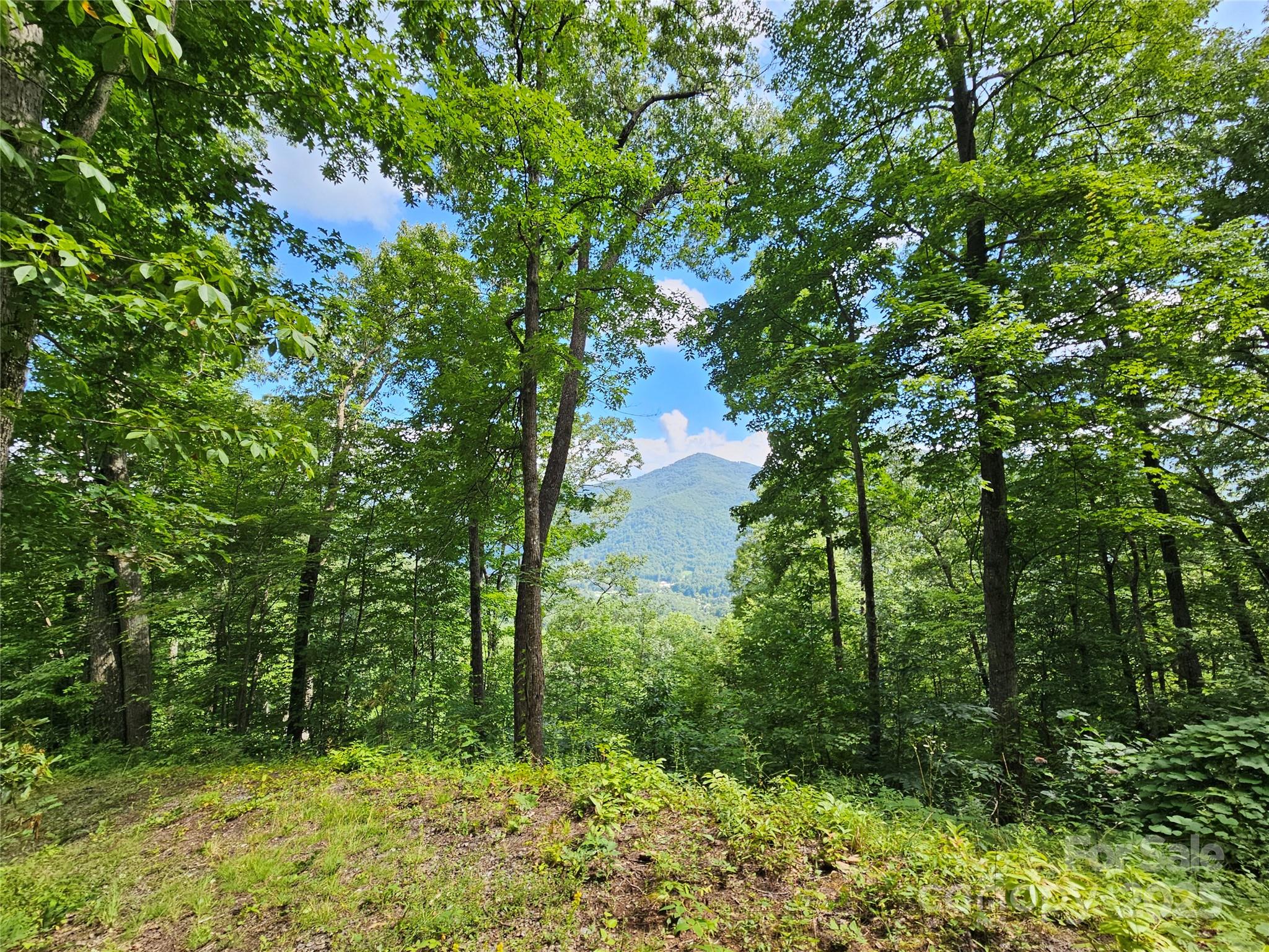 000 Big Boulder Ridge 9 Property Photo 3