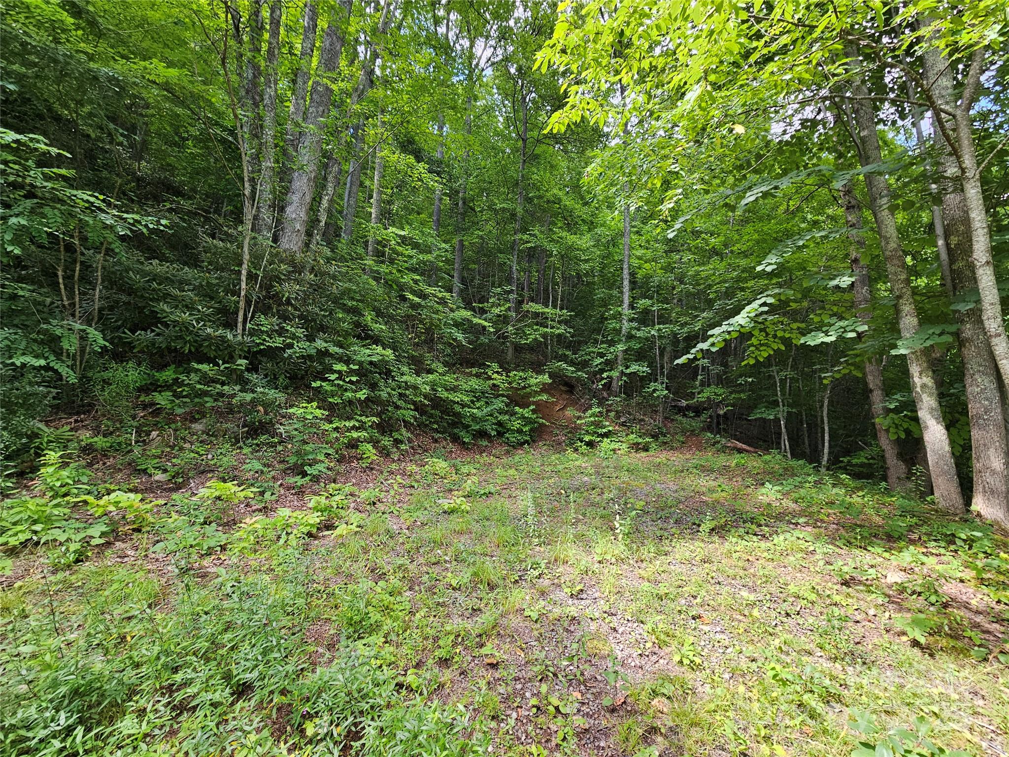 000 Big Boulder Ridge 9 Property Photo 4