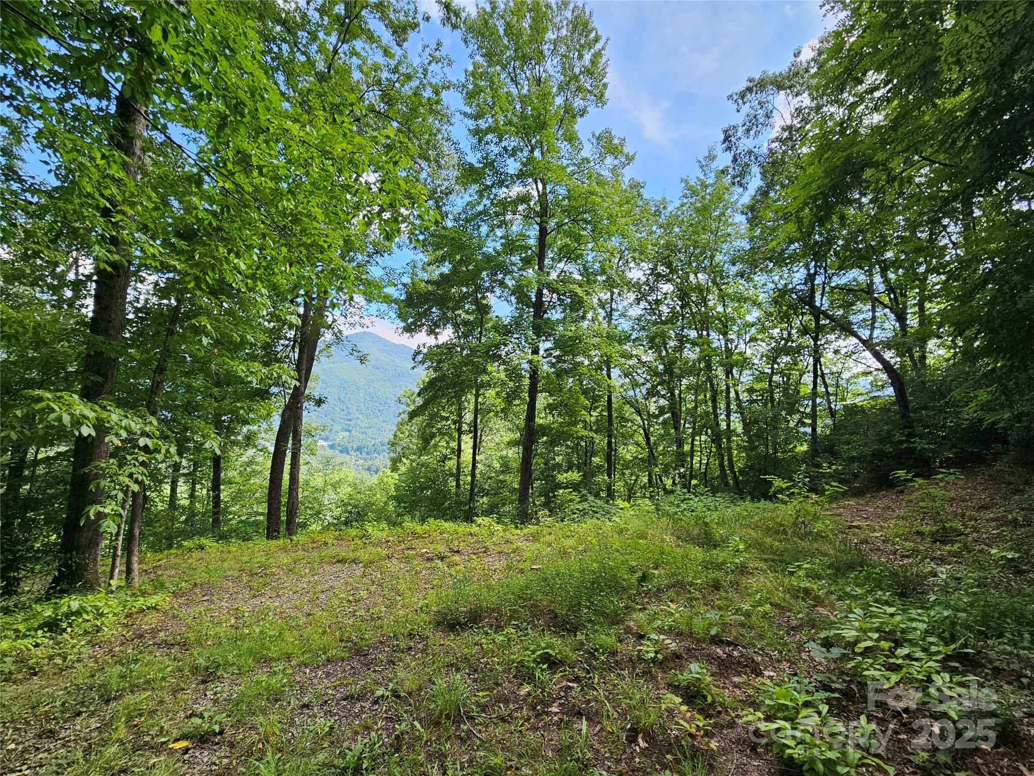 000 Big Boulder Ridge 9 Property Photo 5