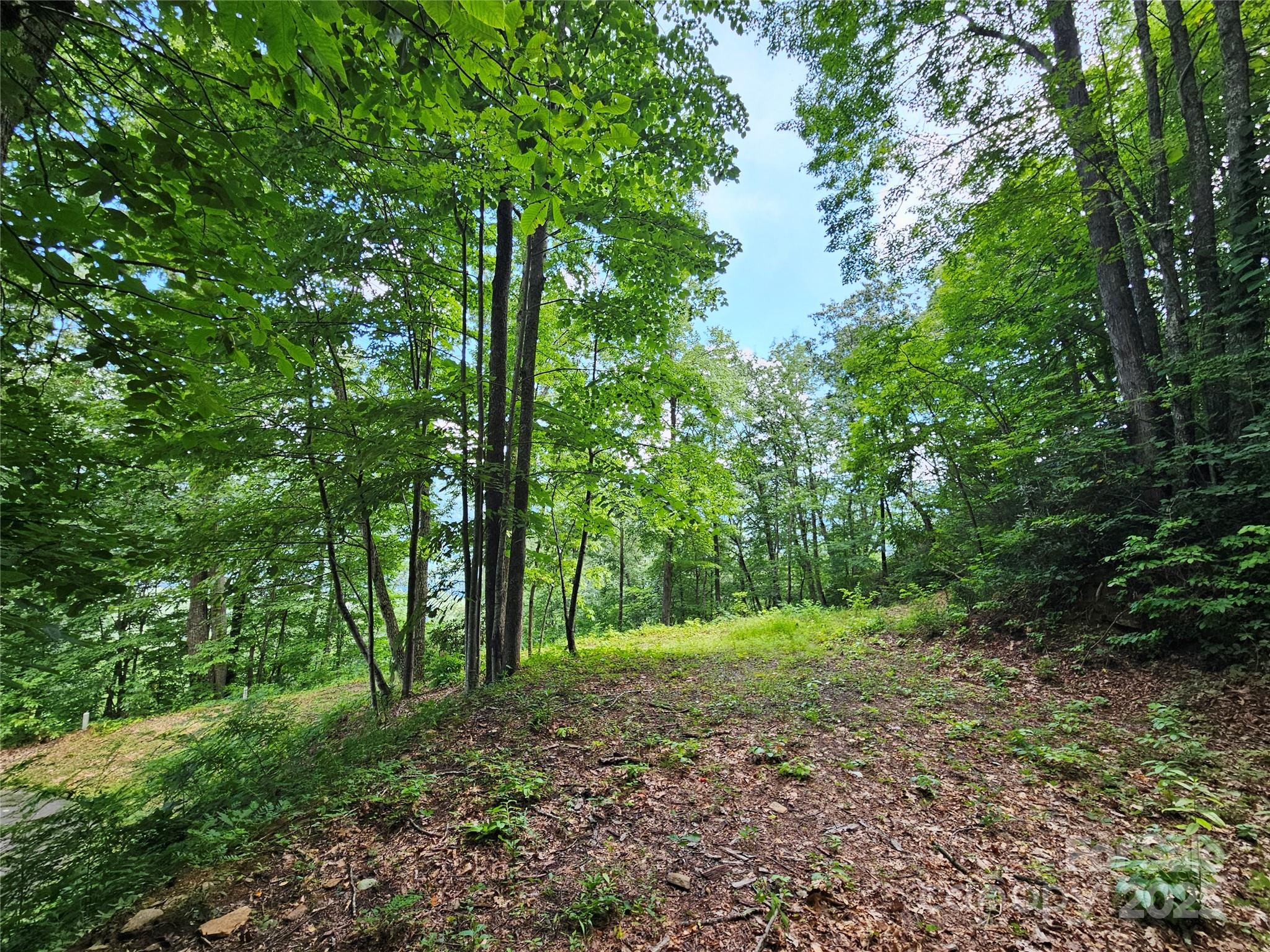 000 Big Boulder Ridge 9 Property Photo 6