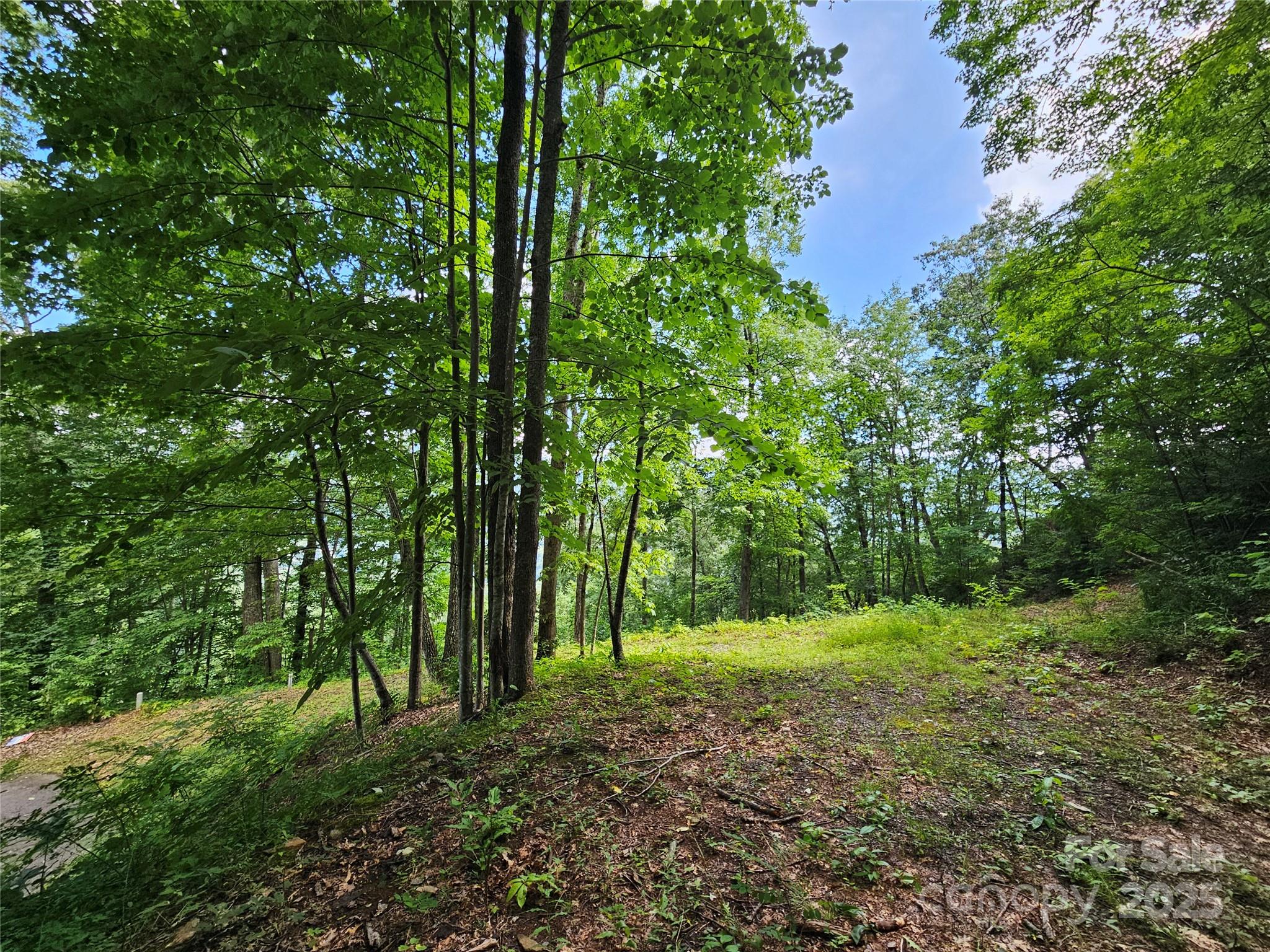 000 Big Boulder Ridge 9 Property Photo 7