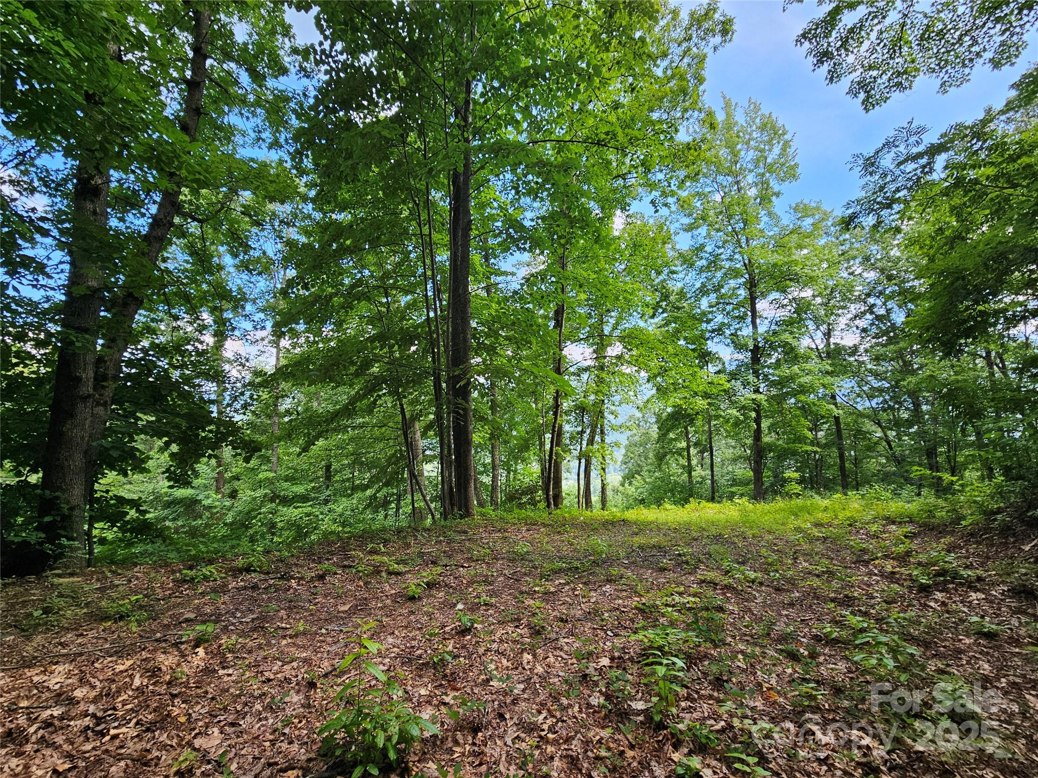 000 Big Boulder Ridge 9 Property Photo 8