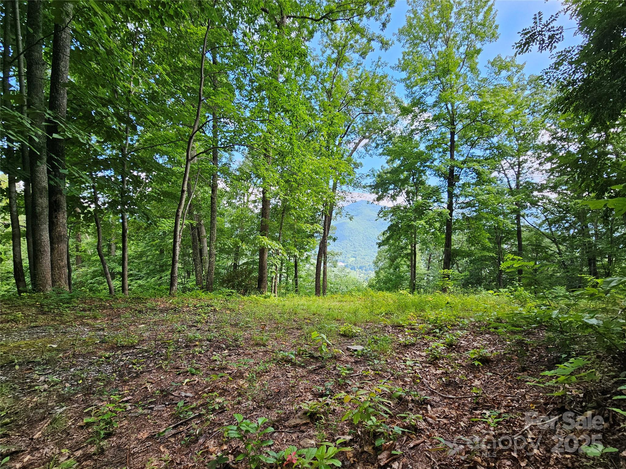 000 Big Boulder Ridge 9 Property Photo 9