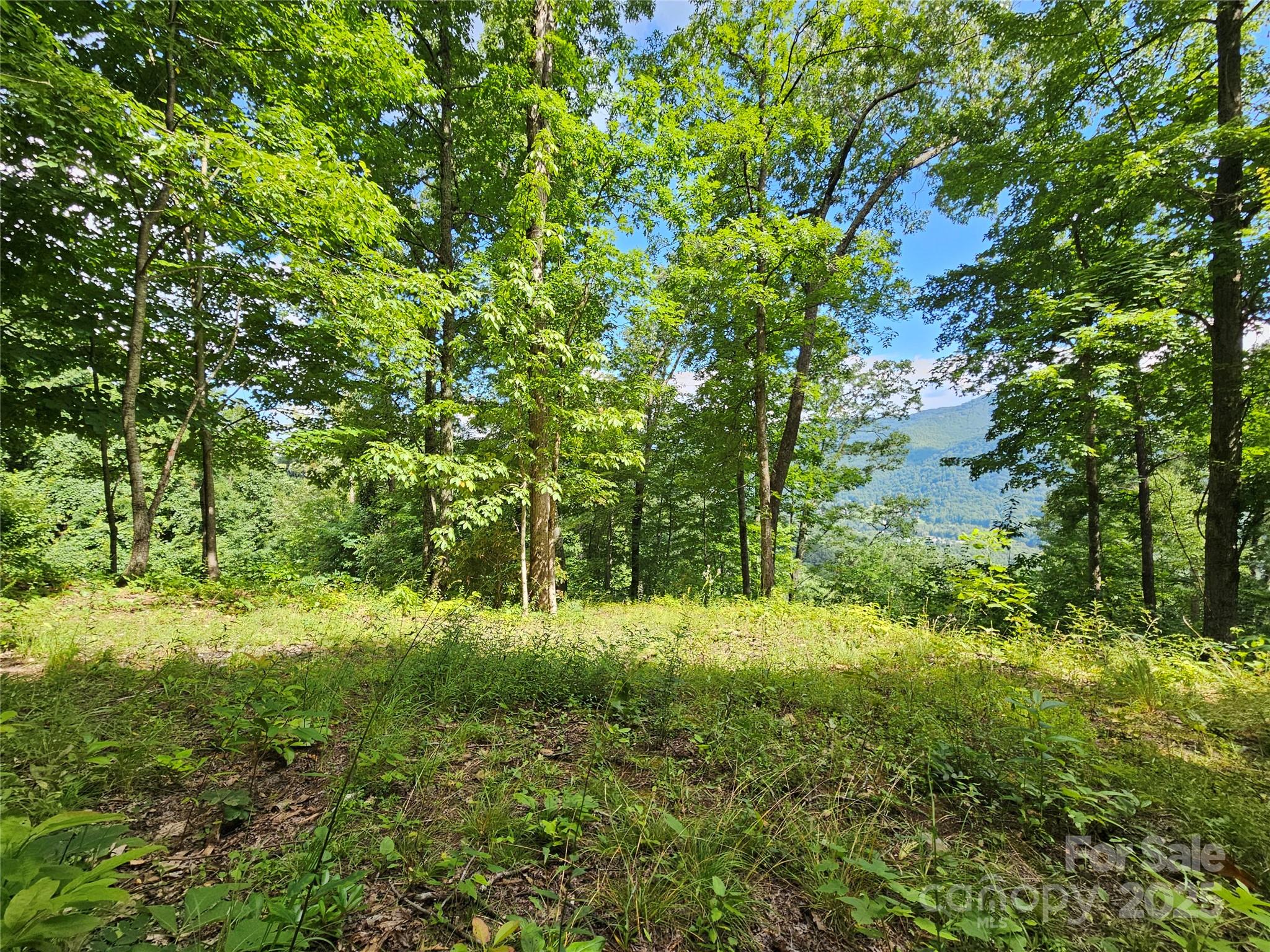 000 Big Boulder Ridge 9 Property Photo 10