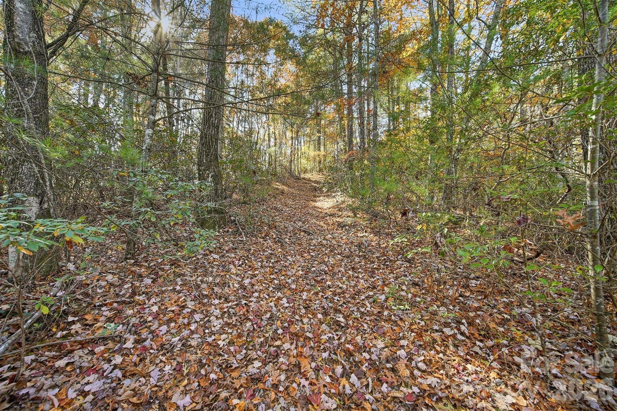 Vl Indian Grave Road Property Photo 1