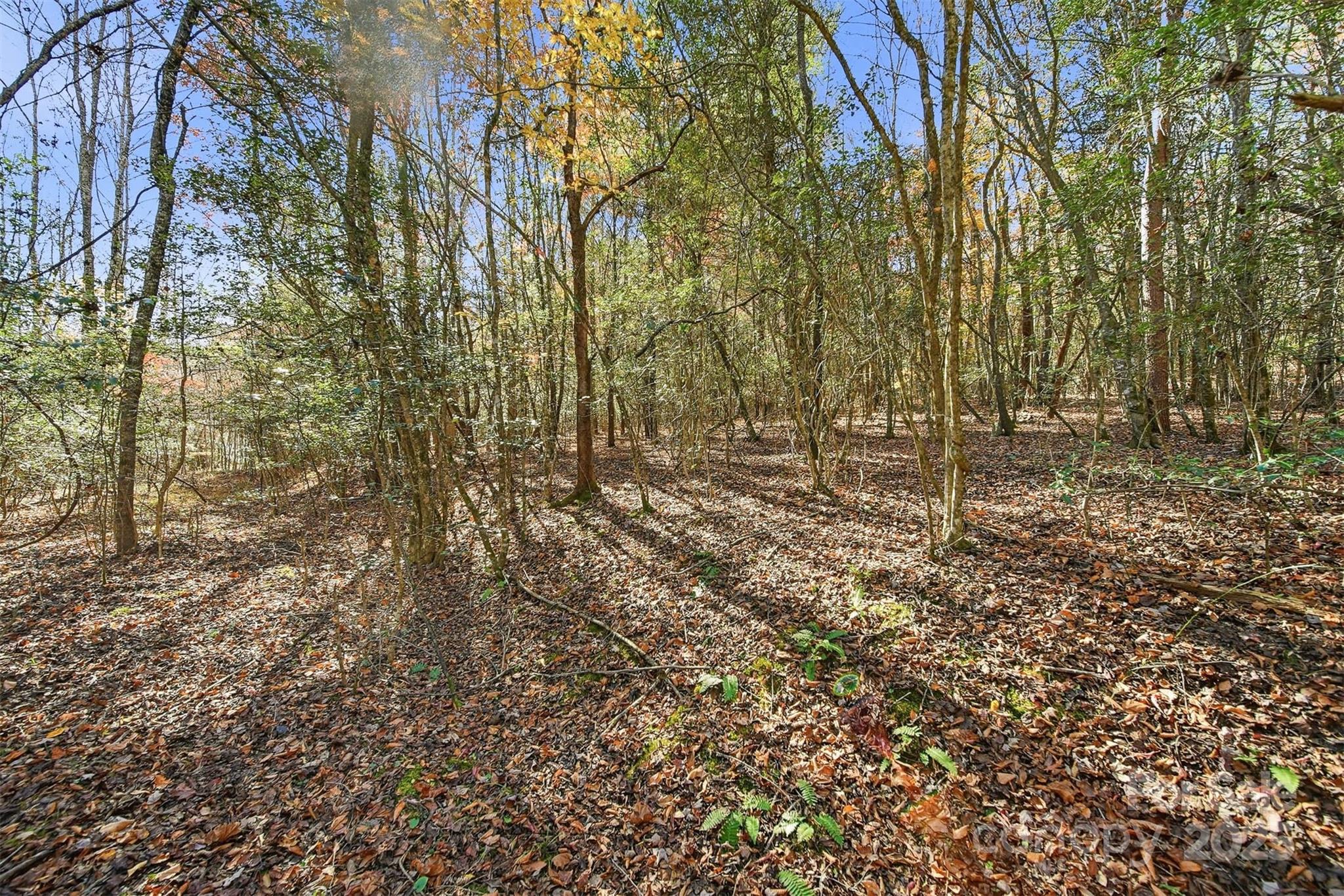 Vl Indian Grave Road Property Photo 2