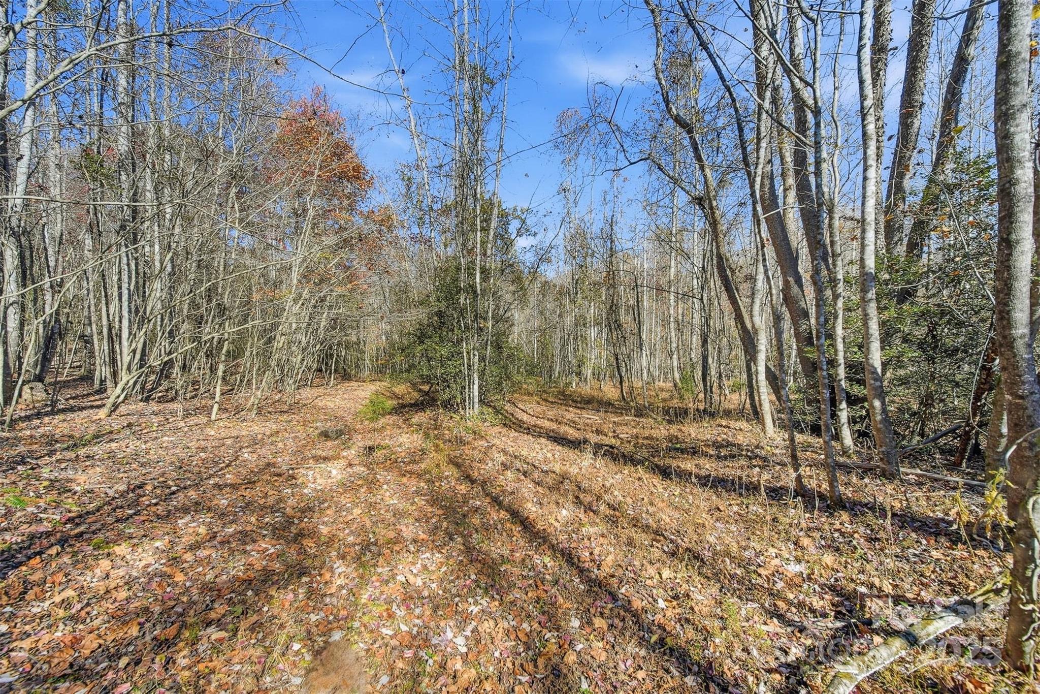 Vl Indian Grave Road Property Photo 3