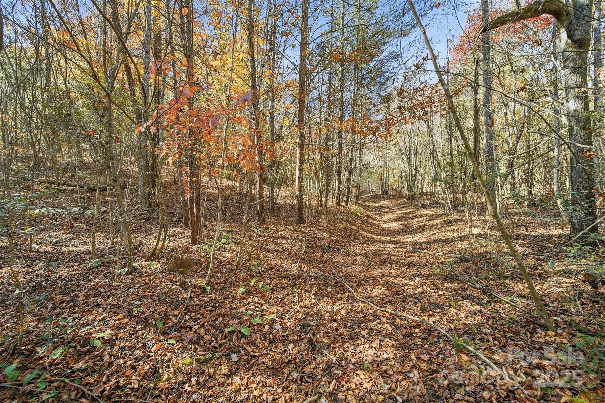 Vl Indian Grave Road Property Photo 4