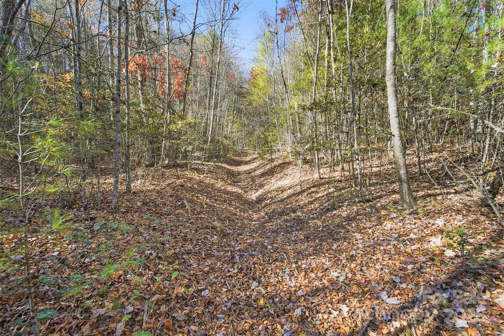 Vl Indian Grave Road Property Photo 5