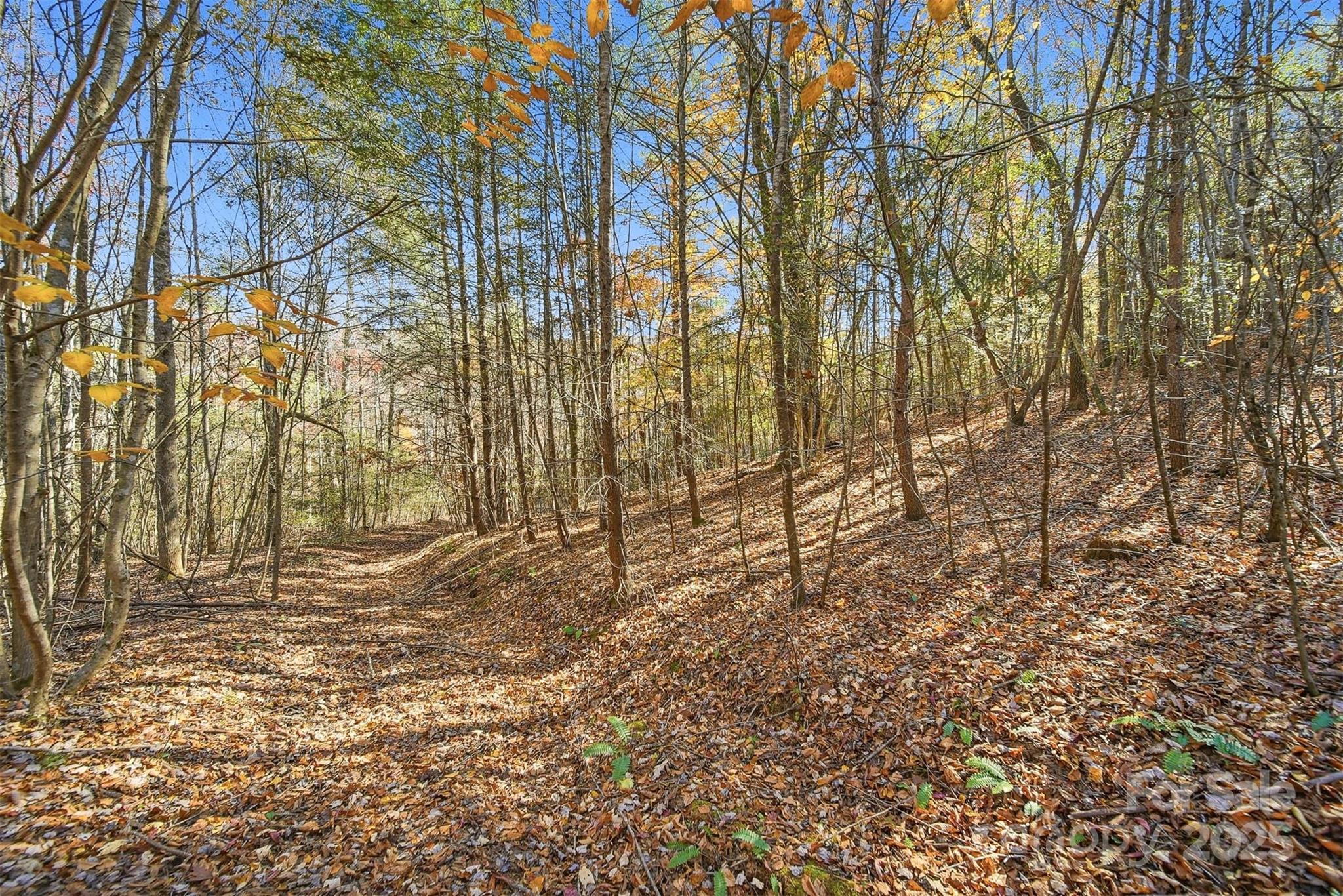 Vl Indian Grave Road Property Photo 7