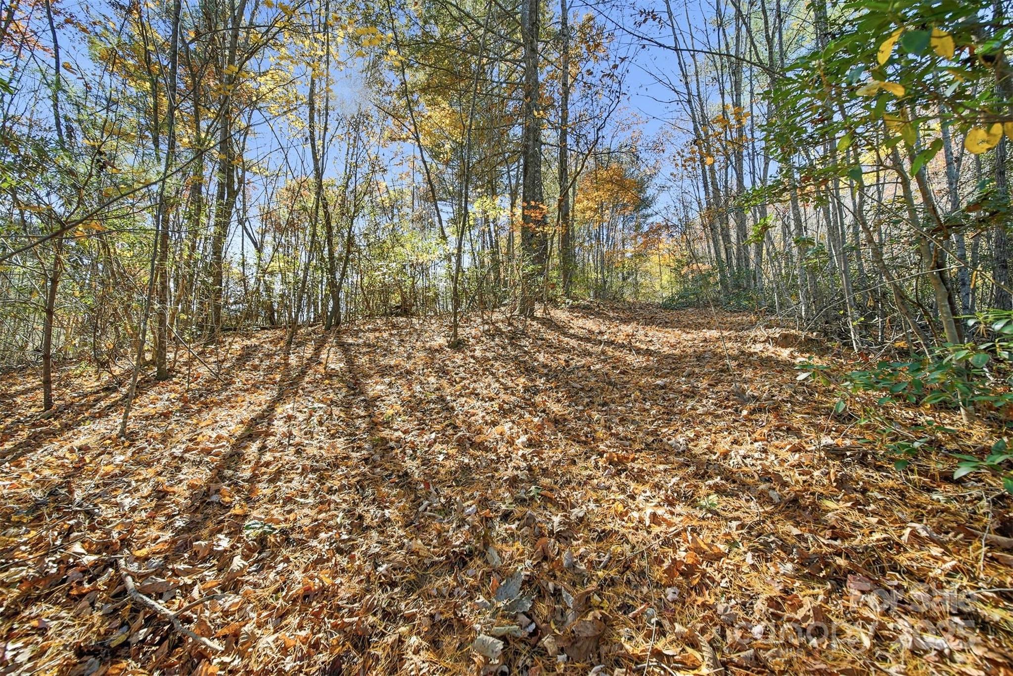 Vl Indian Grave Road Property Photo 8