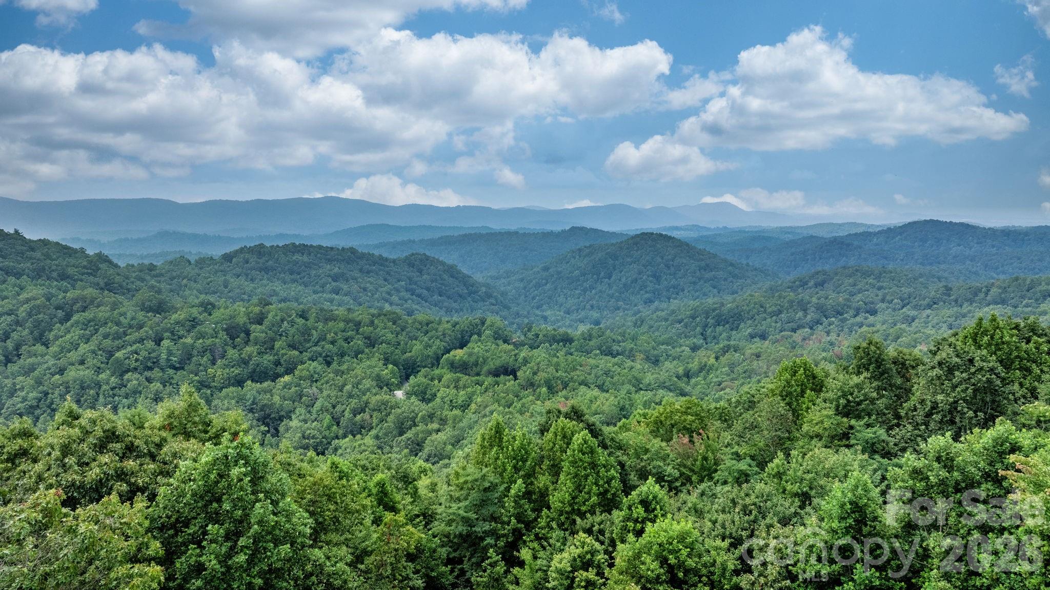 4415 Laurel Ridge Drive Property Photo 41