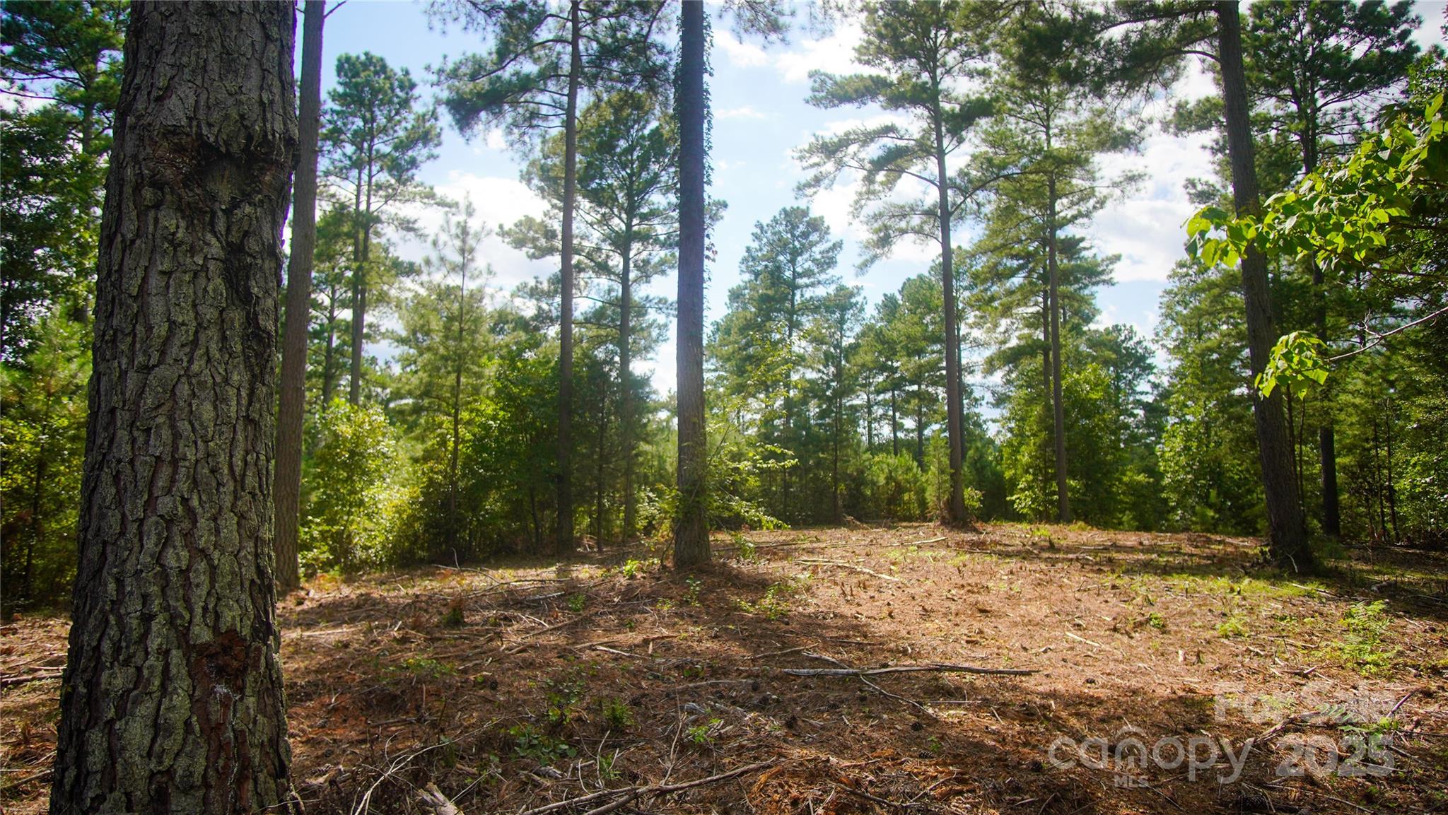 00 Scenic Lane 180 Property Photo 3