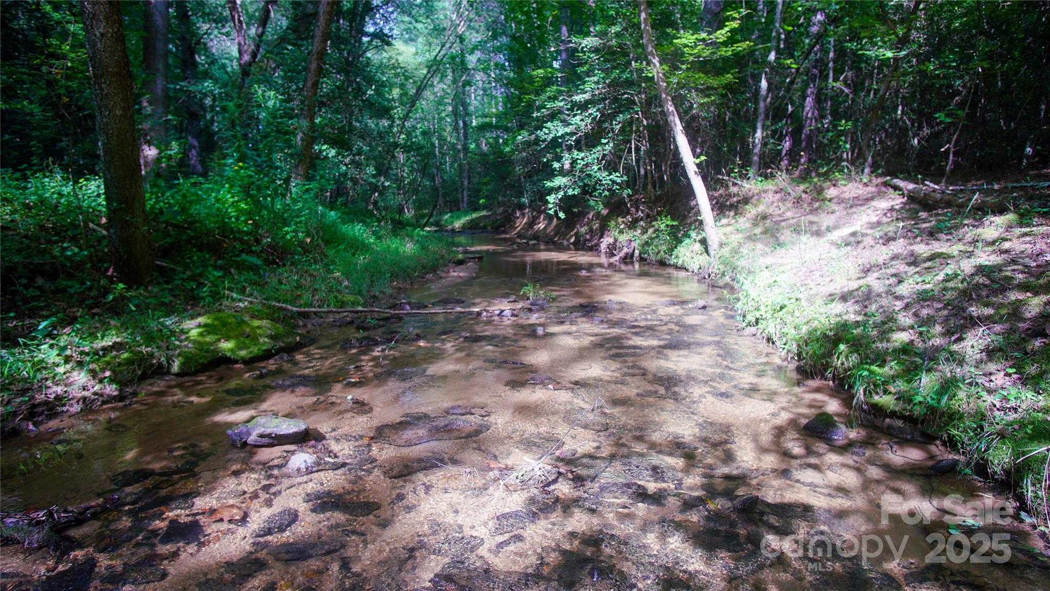 00 Scenic Lane 180 Property Photo 4