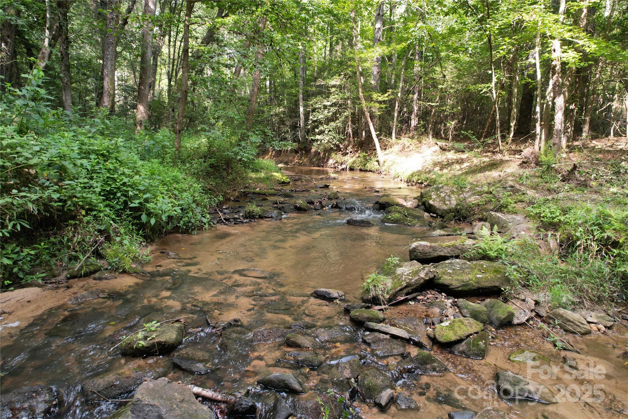 00 Scenic Lane 180 Property Photo 6