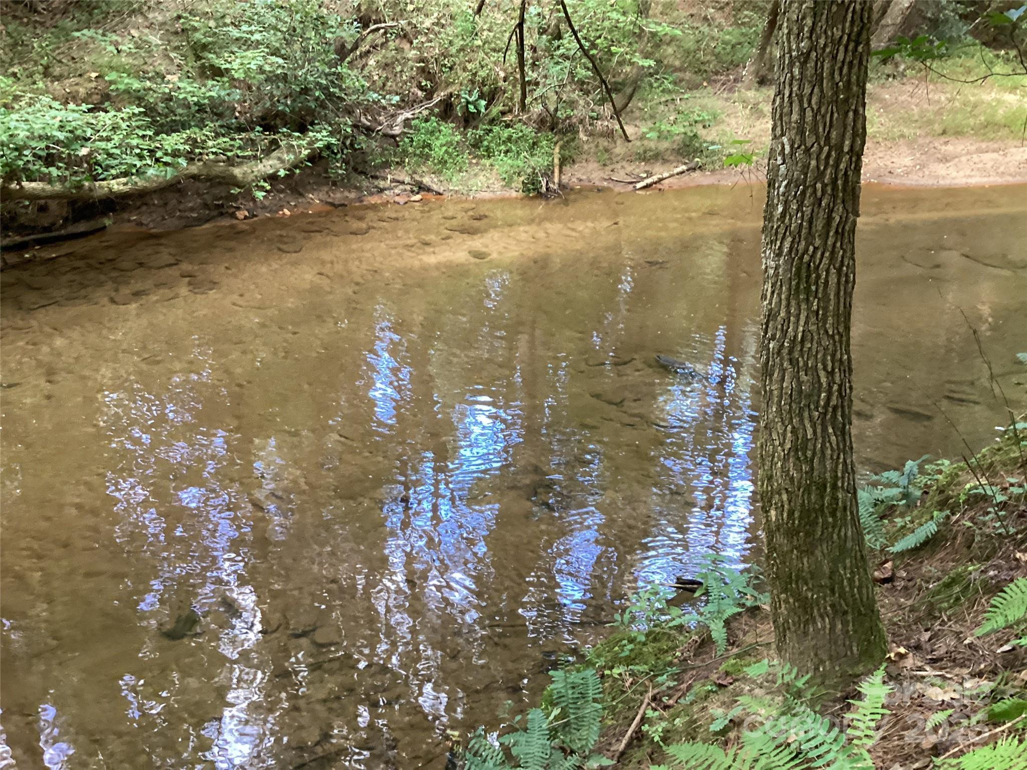 00 Scenic Lane 180 Property Photo 7