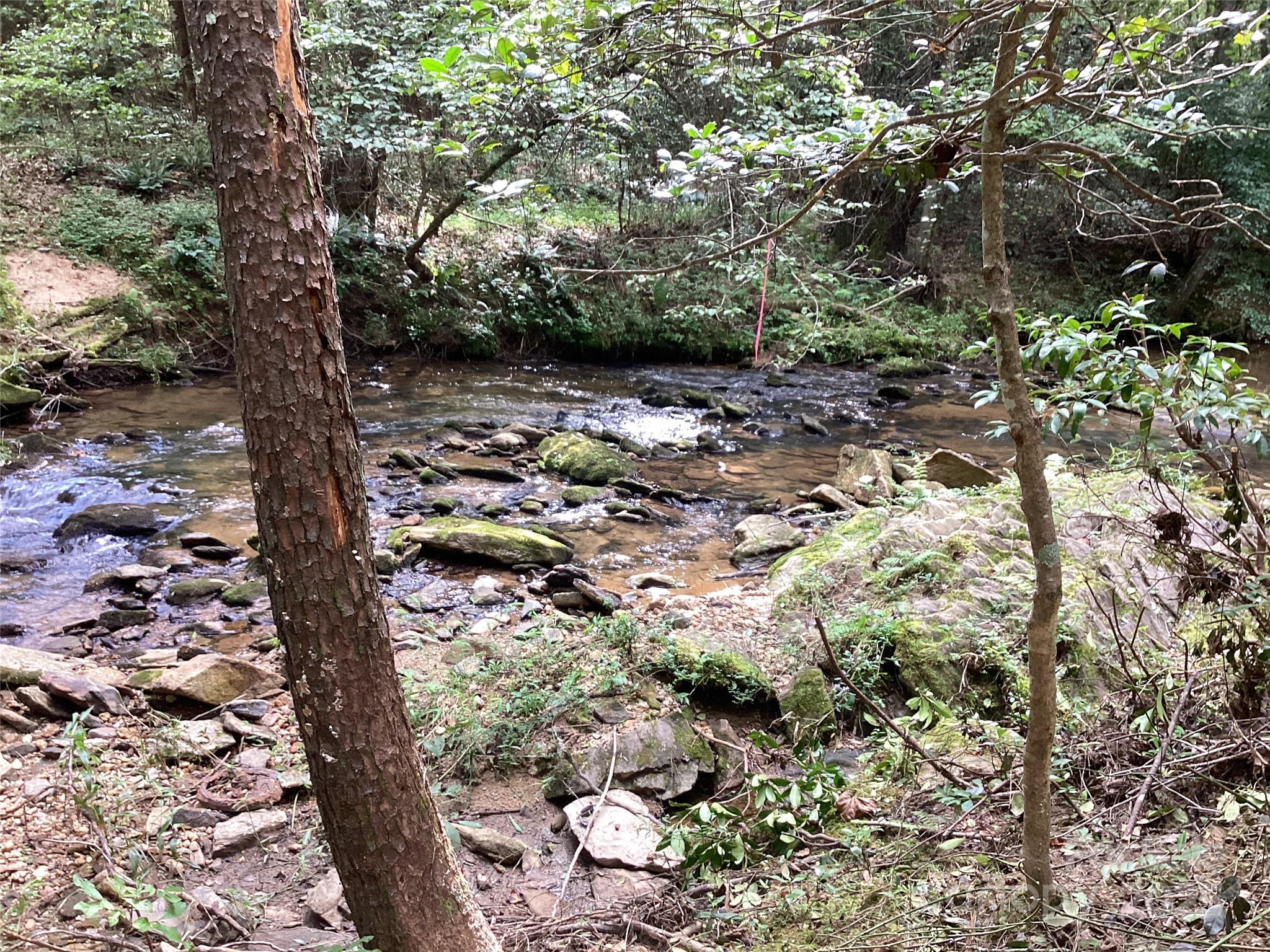 00 Scenic Lane 180 Property Photo 8