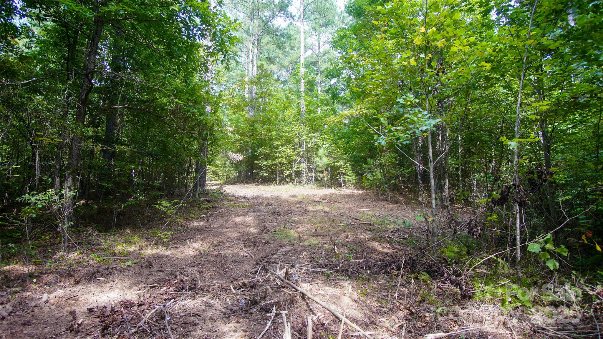 00 Scenic Lane 180 Property Photo 9