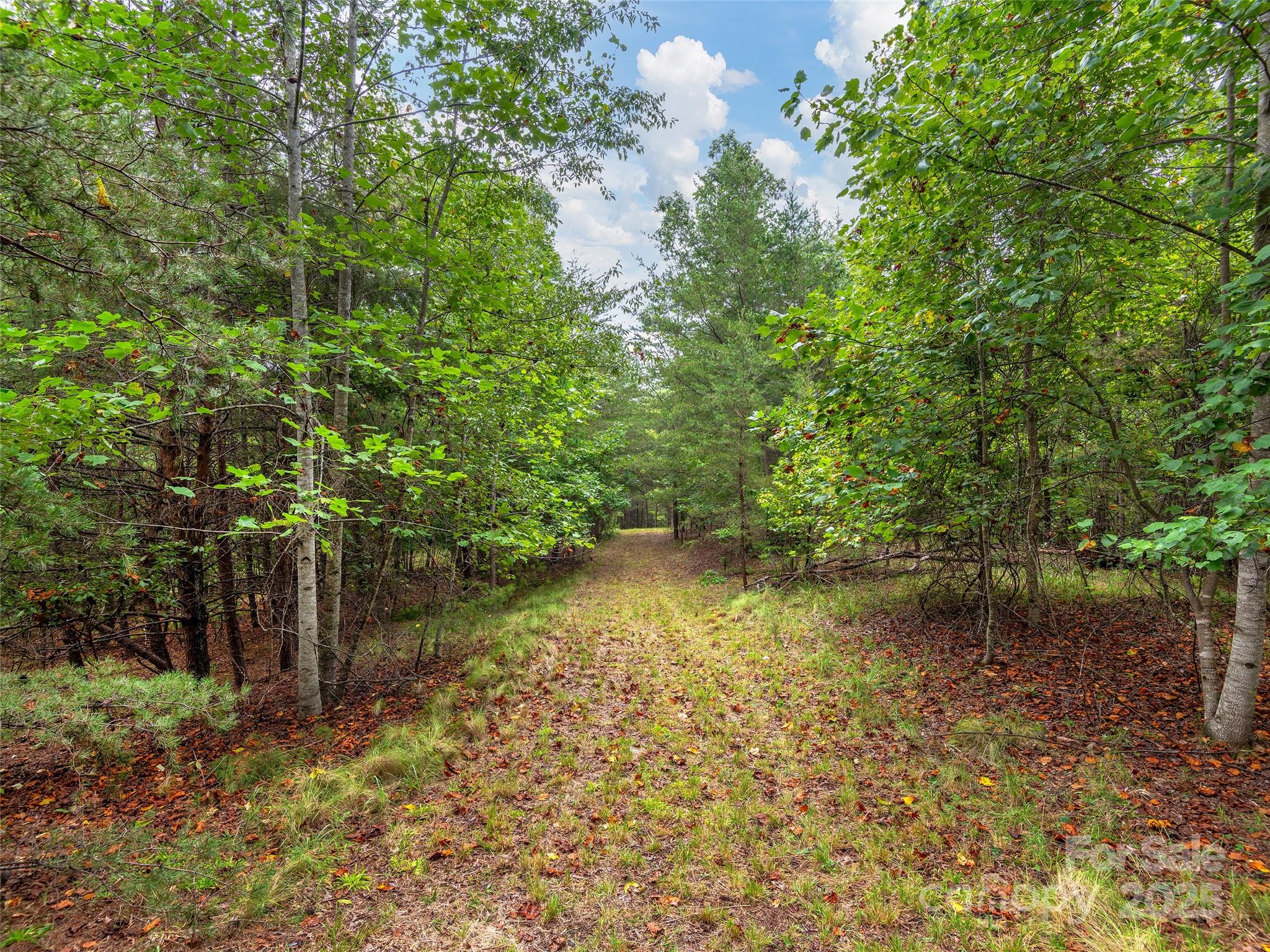 Lot #28 Parkway North Road 28 Property Photo 5