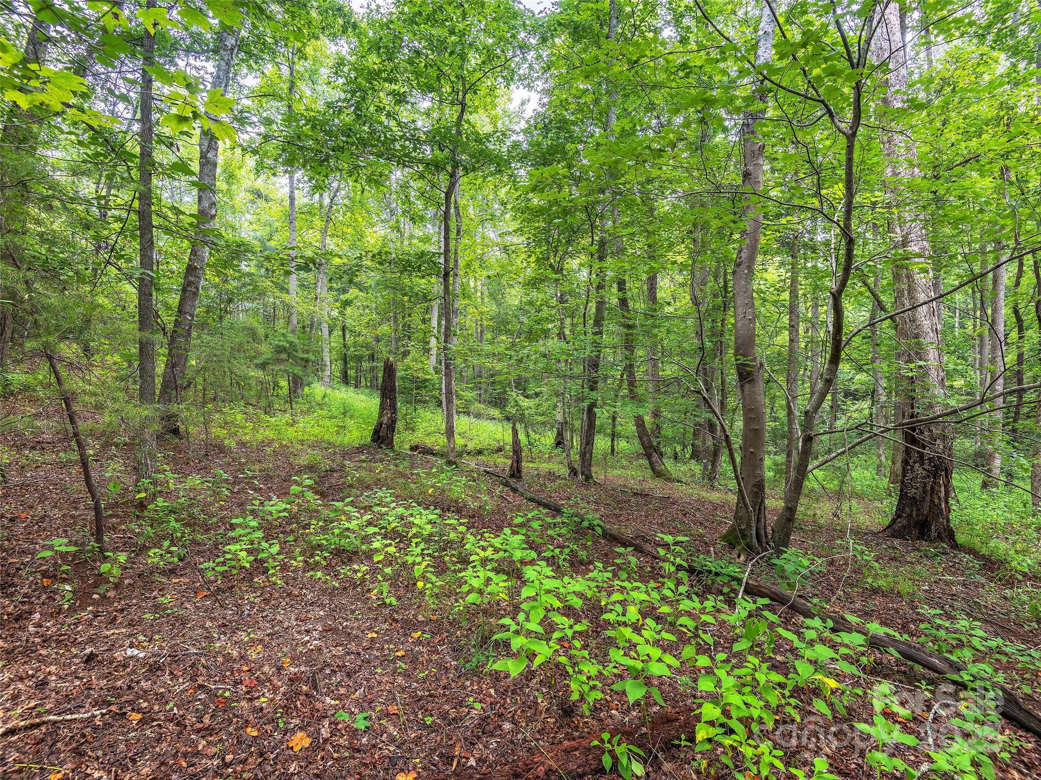 Lot #28 Parkway North Road 28 Property Photo 13