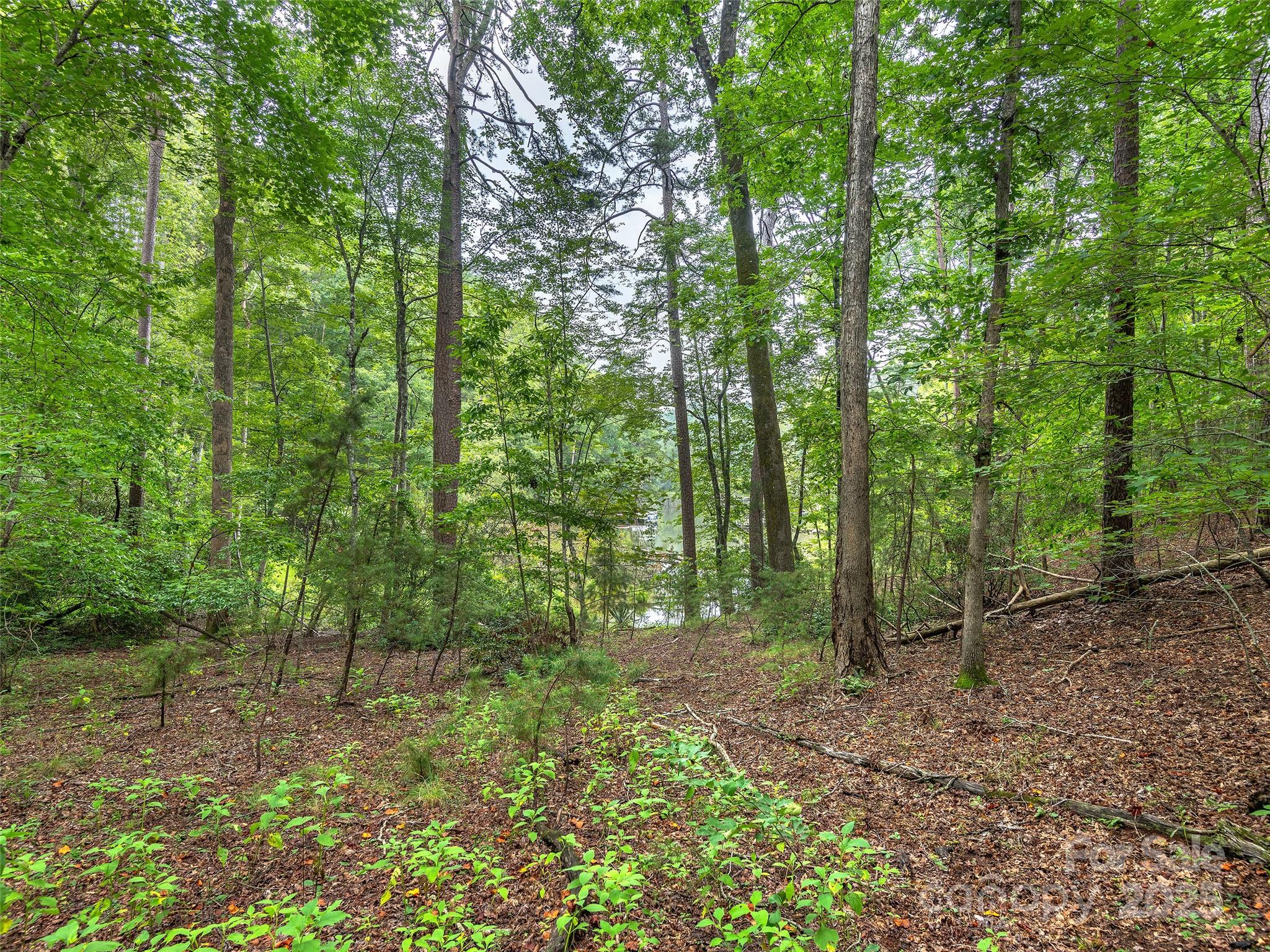 Lot #28 Parkway North Road 28 Property Photo 14
