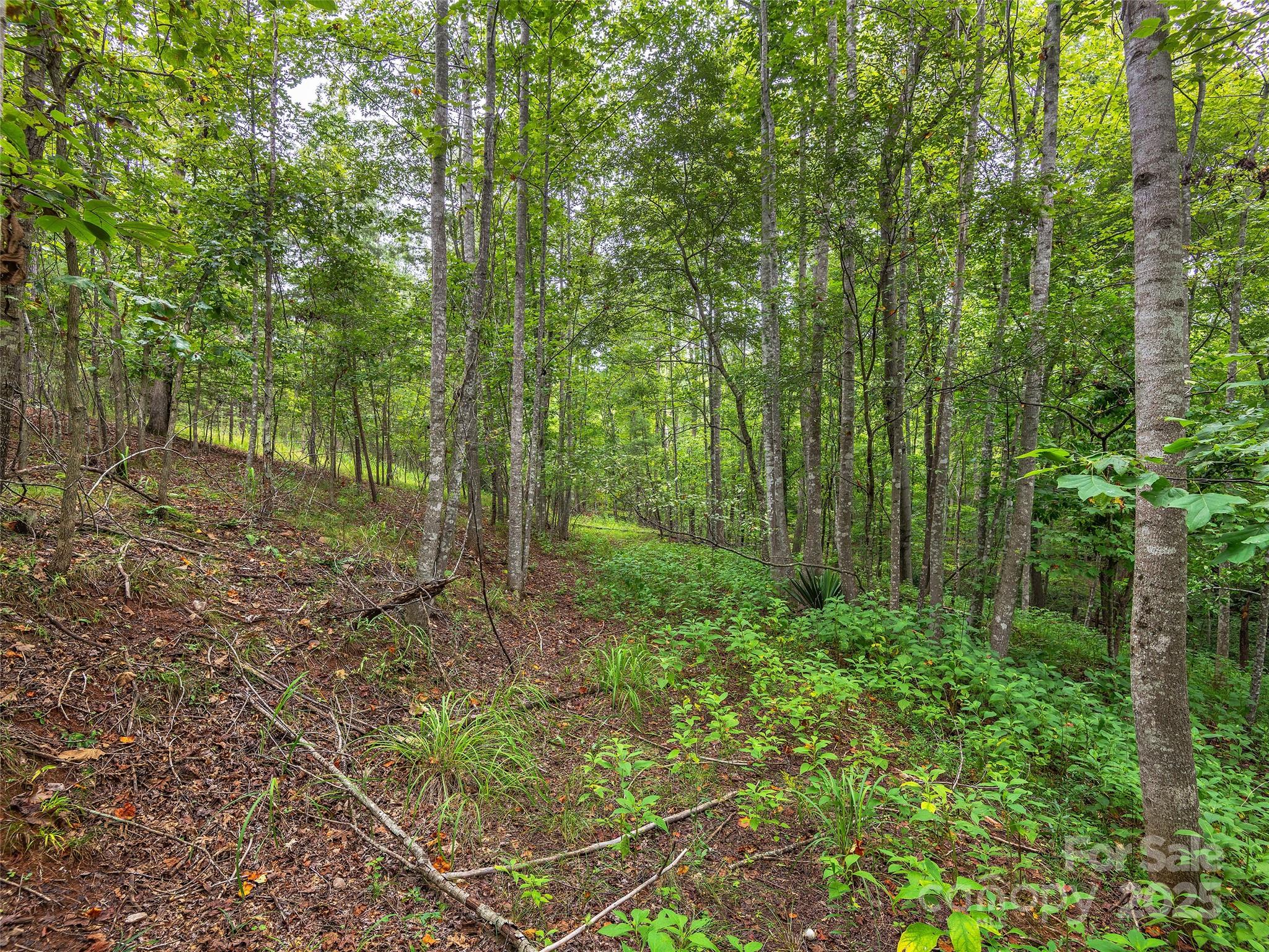 Lot #28 Parkway North Road 28 Property Photo 15