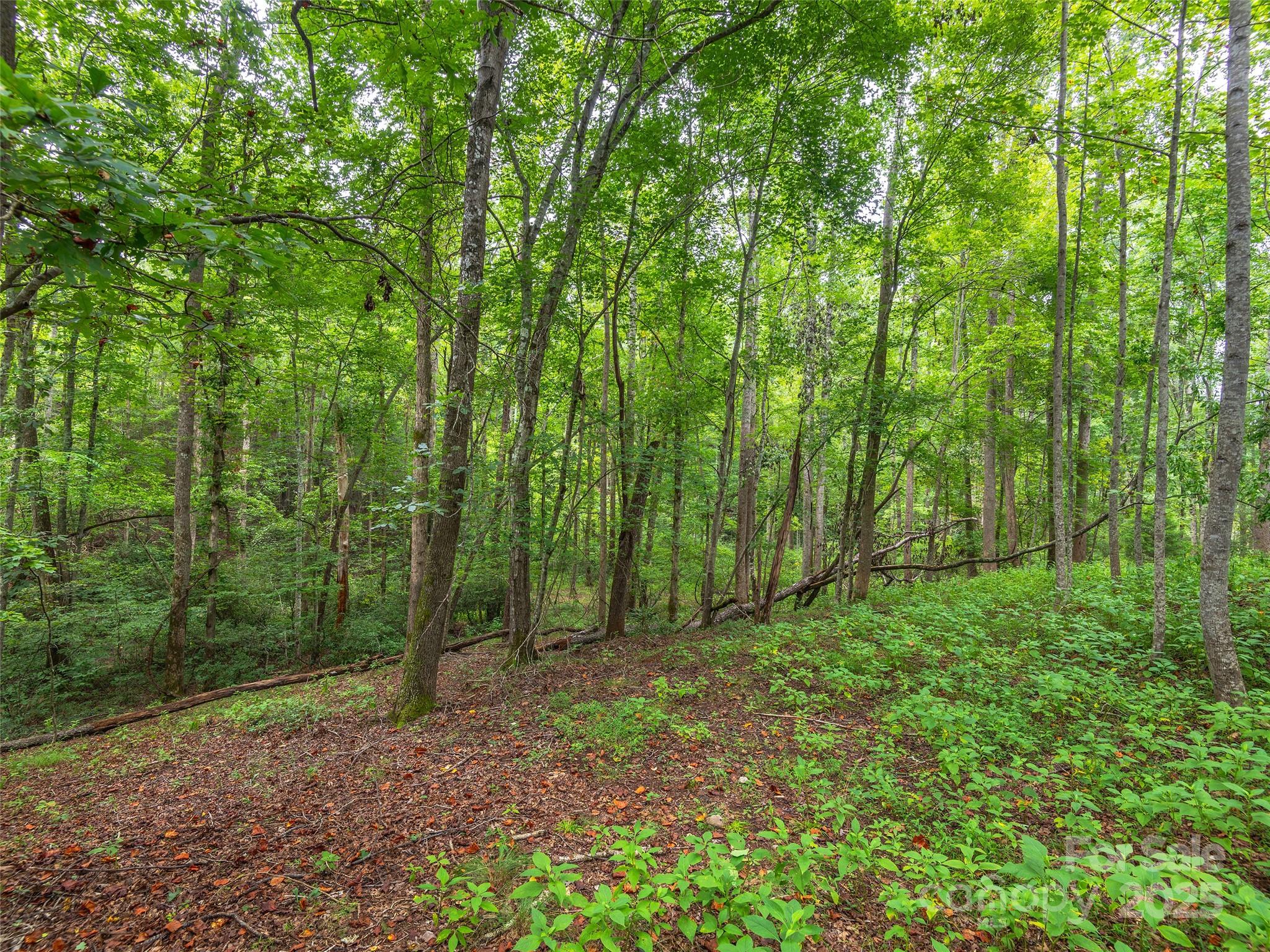 Lot #28 Parkway North Road 28 Property Photo 16