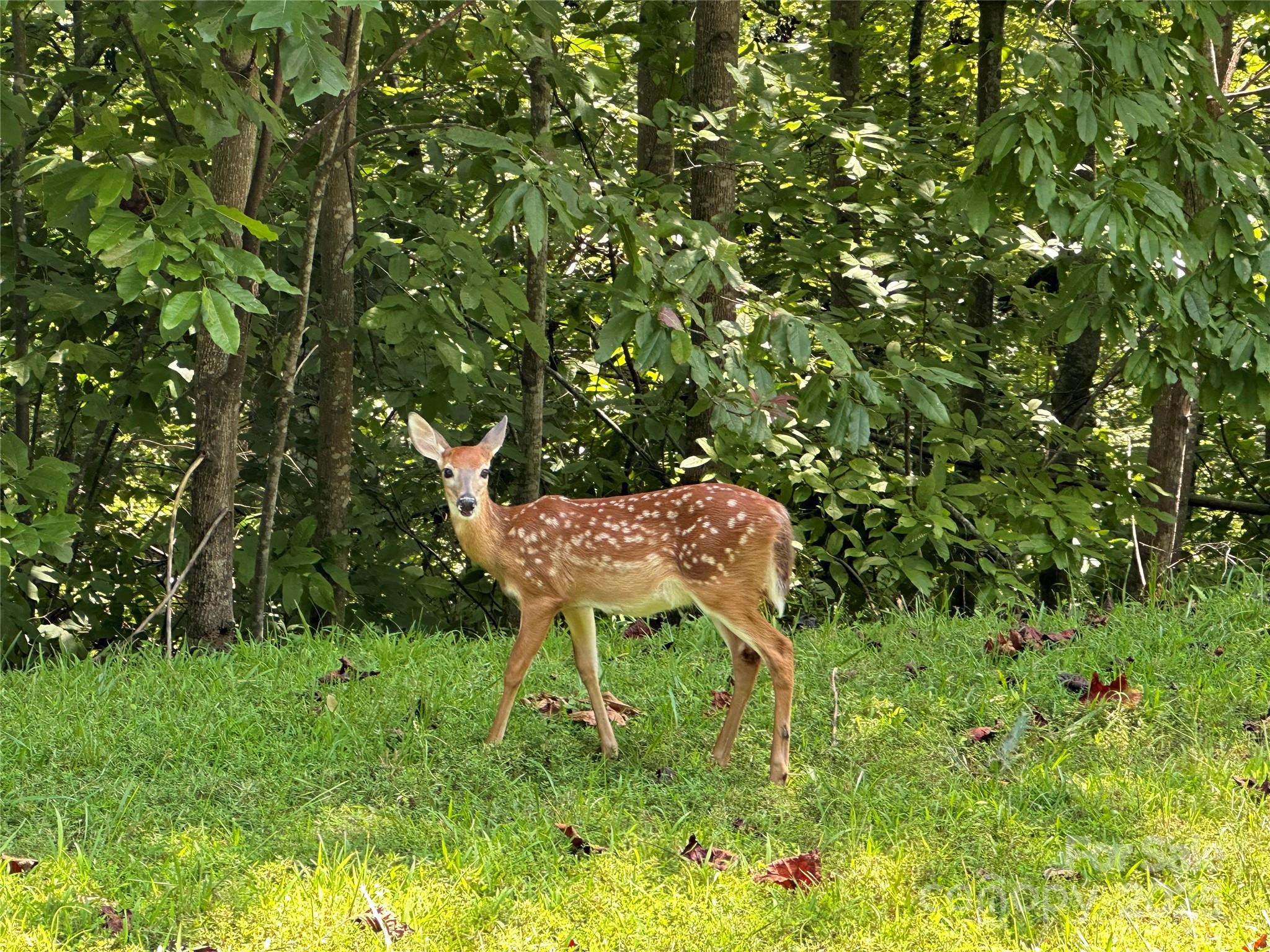 Lot #28 Parkway North Road 28 Property Photo 22