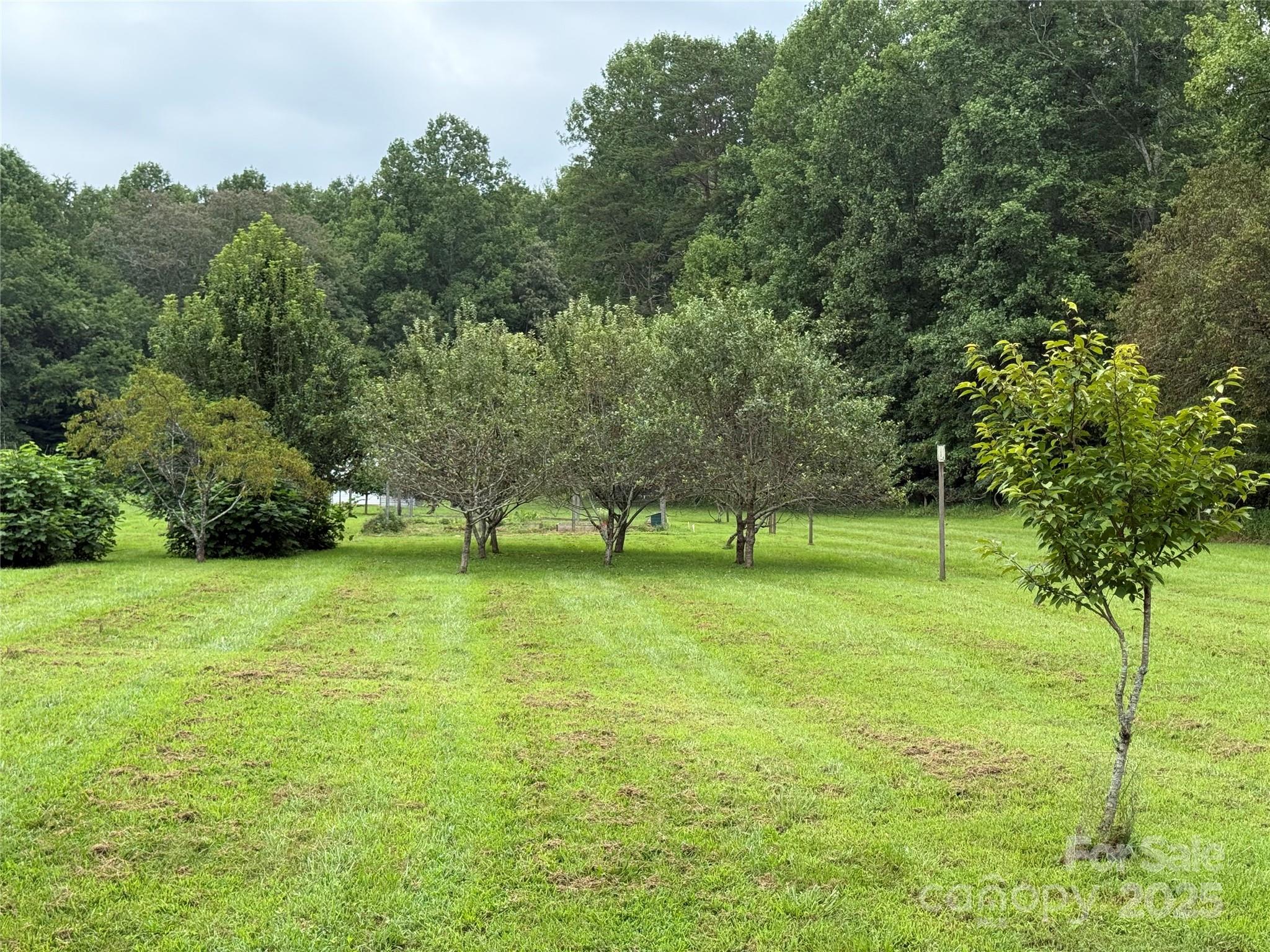 Lot 18 Zinzendorf Circle 18 Property Photo 8