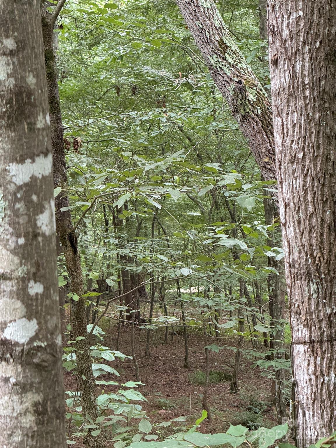 Lot 18 Zinzendorf Circle 18 Property Photo 11