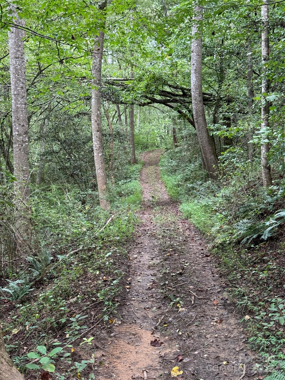 Lot 18 Zinzendorf Circle 18 Property Photo 12