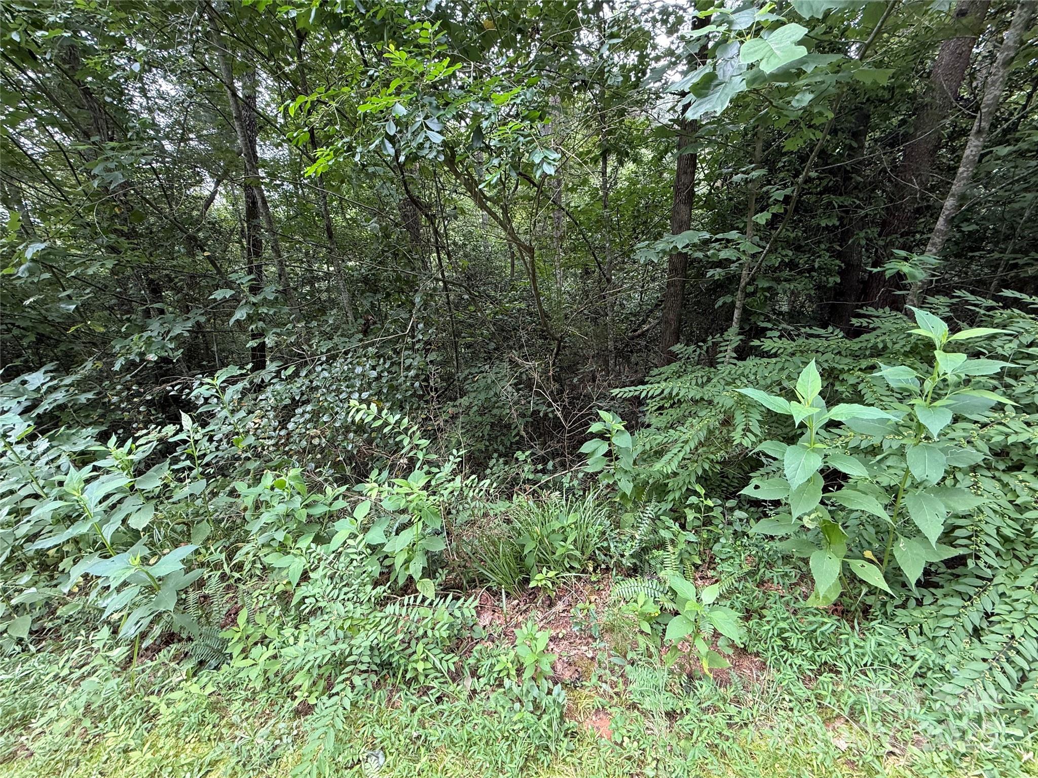 Lot 18 Zinzendorf Circle 18 Property Photo 15
