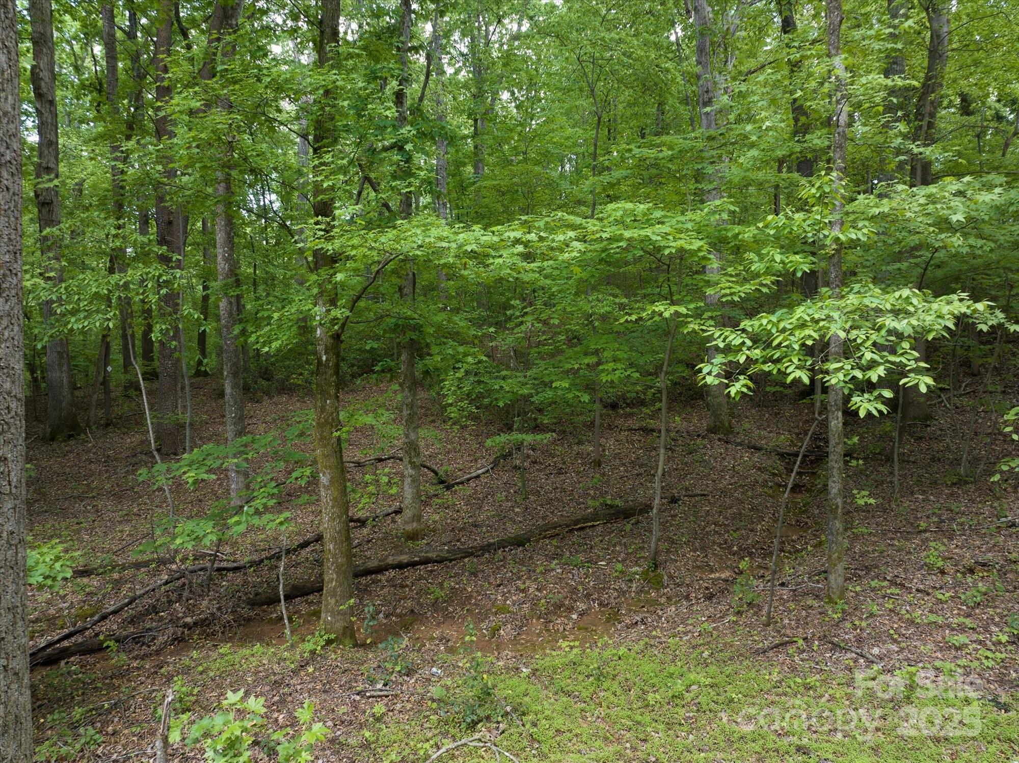 899 W Mills Street Property Photo 19