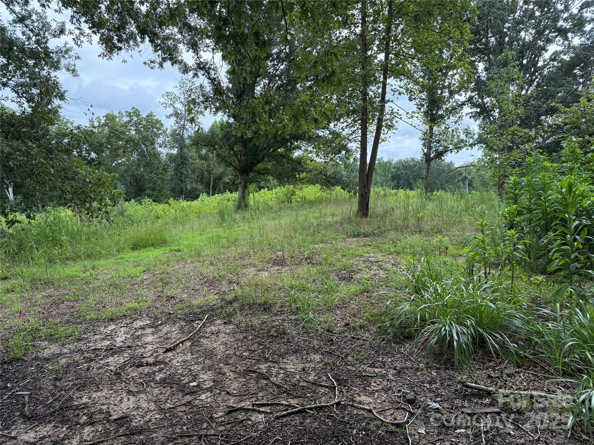 8200 Henry Harris Road 1 Property Photo 16