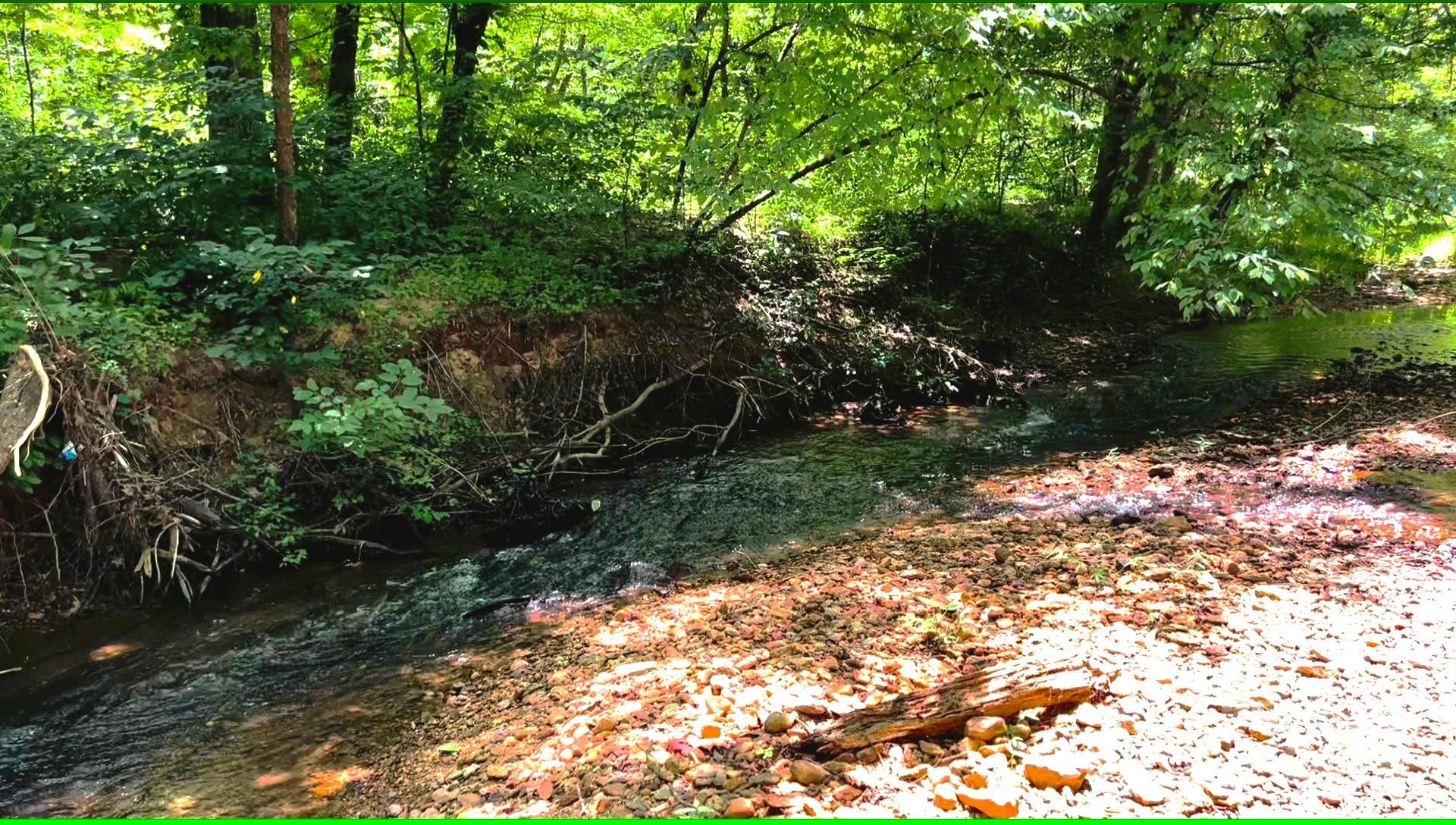 01 John Stroud Road Property Photo 4