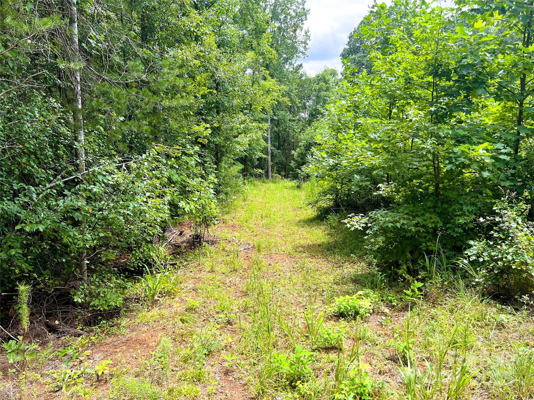 01 John Stroud Road Property Photo 21