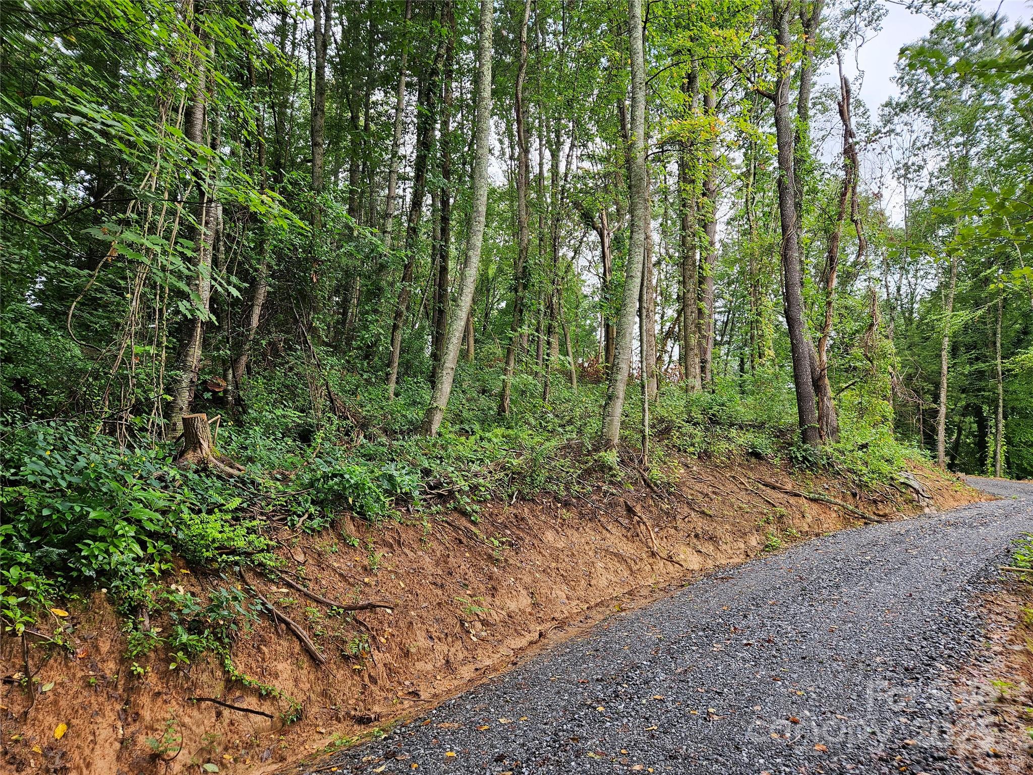 000 Dolan Road 2 Property Photo 1