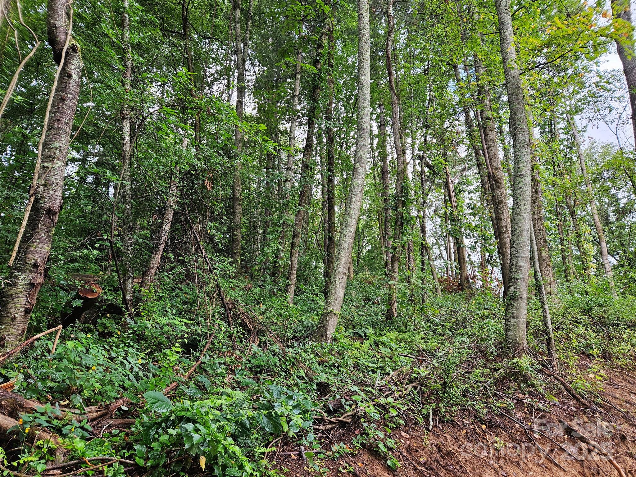 000 Dolan Road 2 Property Photo 2