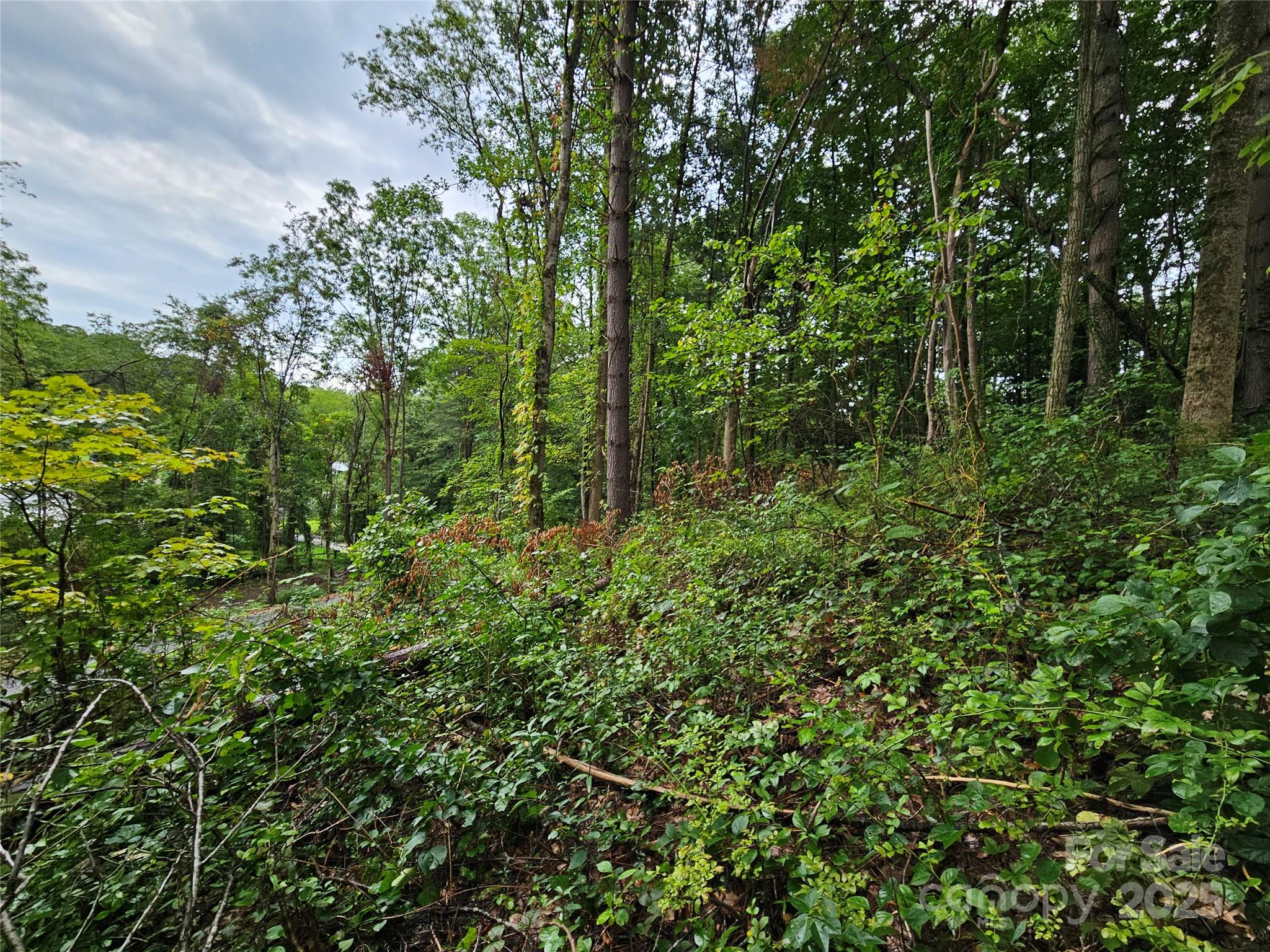 000 Dolan Road 2 Property Photo 3